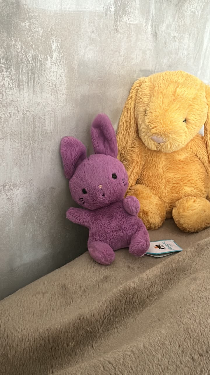 Jellycat bashful bunny prices: Hyacinth and Cinnamon editions