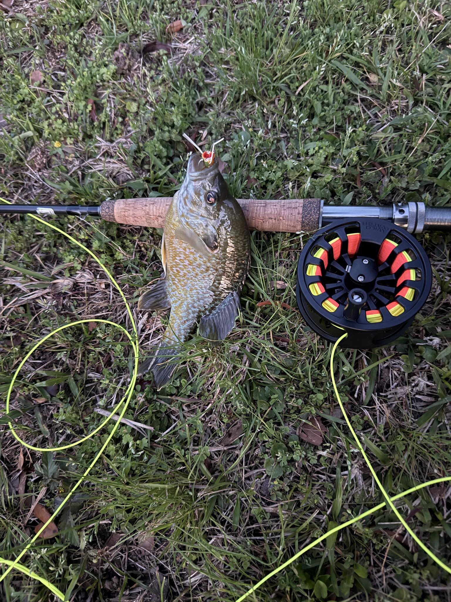 best fly reel for panfish Amazon Sellers: Best Fishing Reels Killer Panfish Flies: How to