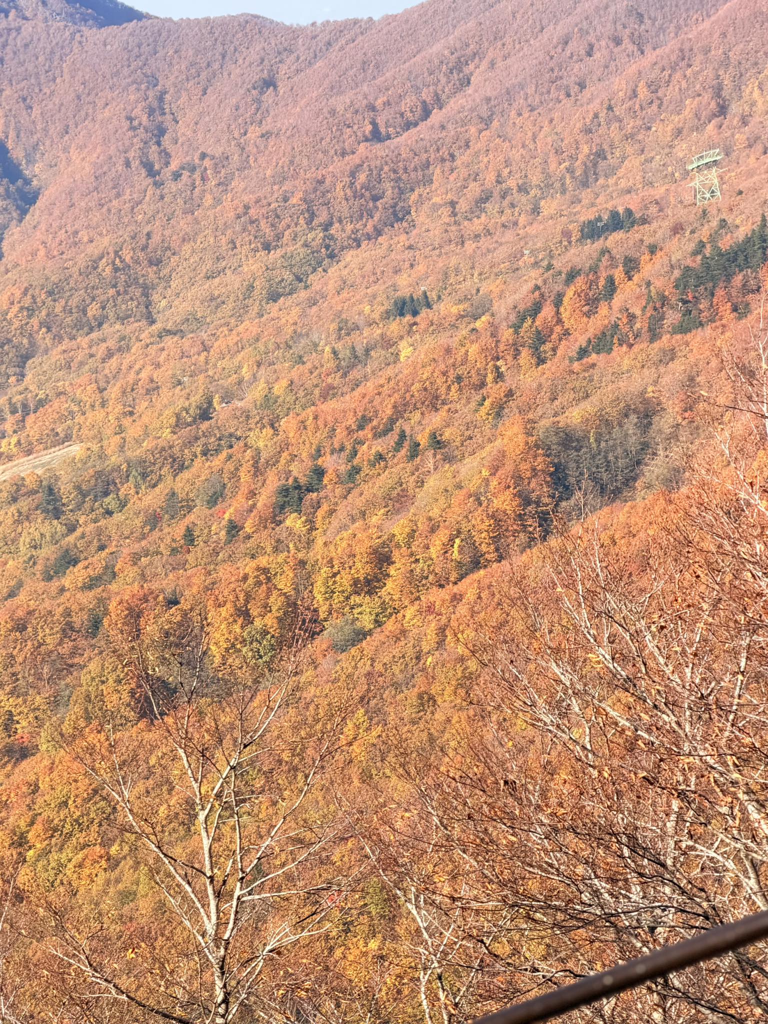 Chaweewan - Zao ropeway , Yamagata 30 Oct. 2025 โชคดีที่ฟ้าใส และลงมา ...