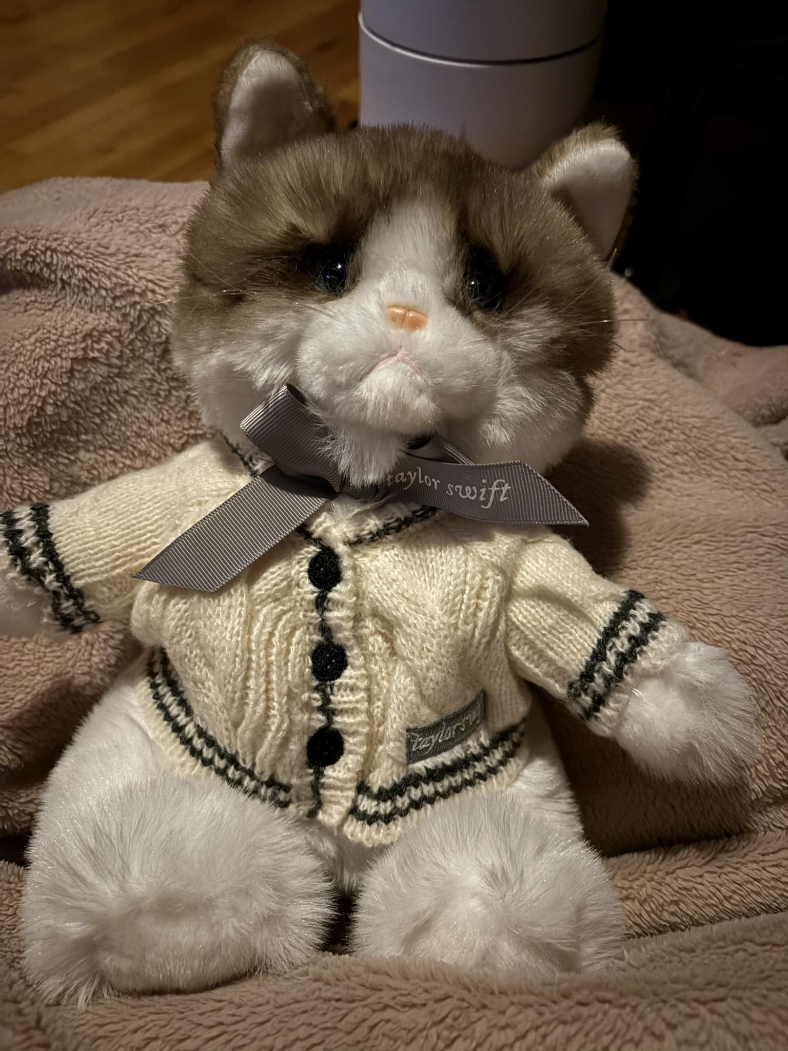 Taylor Swift cardigan cat plushie review