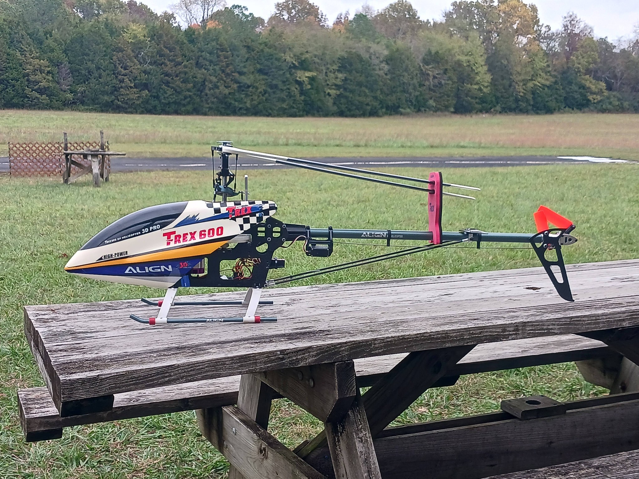 Should I paint my new T-Rex 600 canopy?