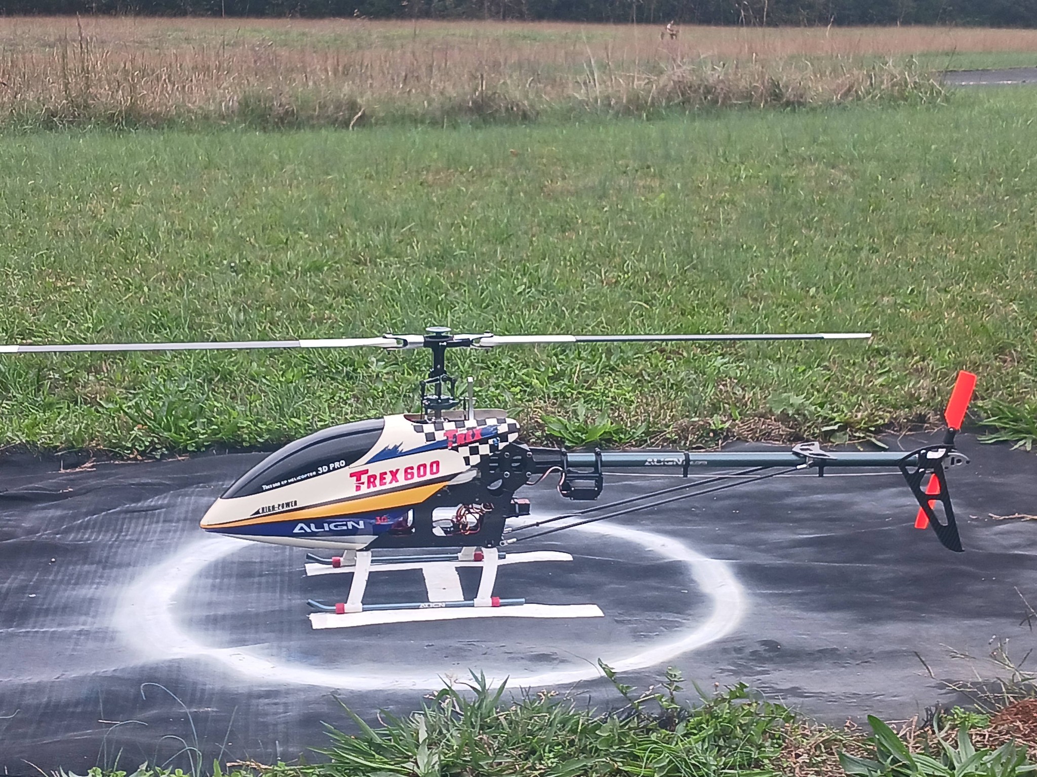 Should I paint my new T-Rex 600 canopy?