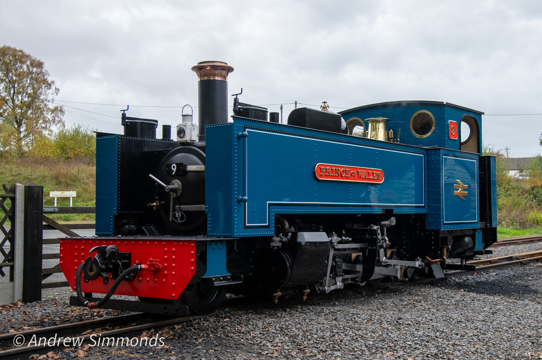 Narrow Gauge Enthusiasts Group | Vale of Rheidol Railway no 9 Prince of ...