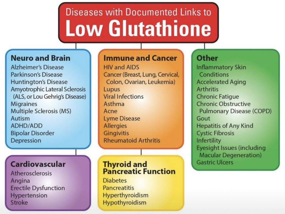is glutathione bad for cancer patients Researchers have discovered that tumors appear to be “addicted” to lipo Alpha Flow Liposomal Glutathione Size:1 g