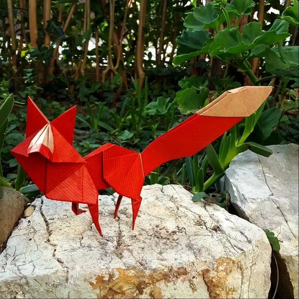 Origami Kiwi ✎Designed by Gen Hagiwara ✎Folded by Guitar Chiang