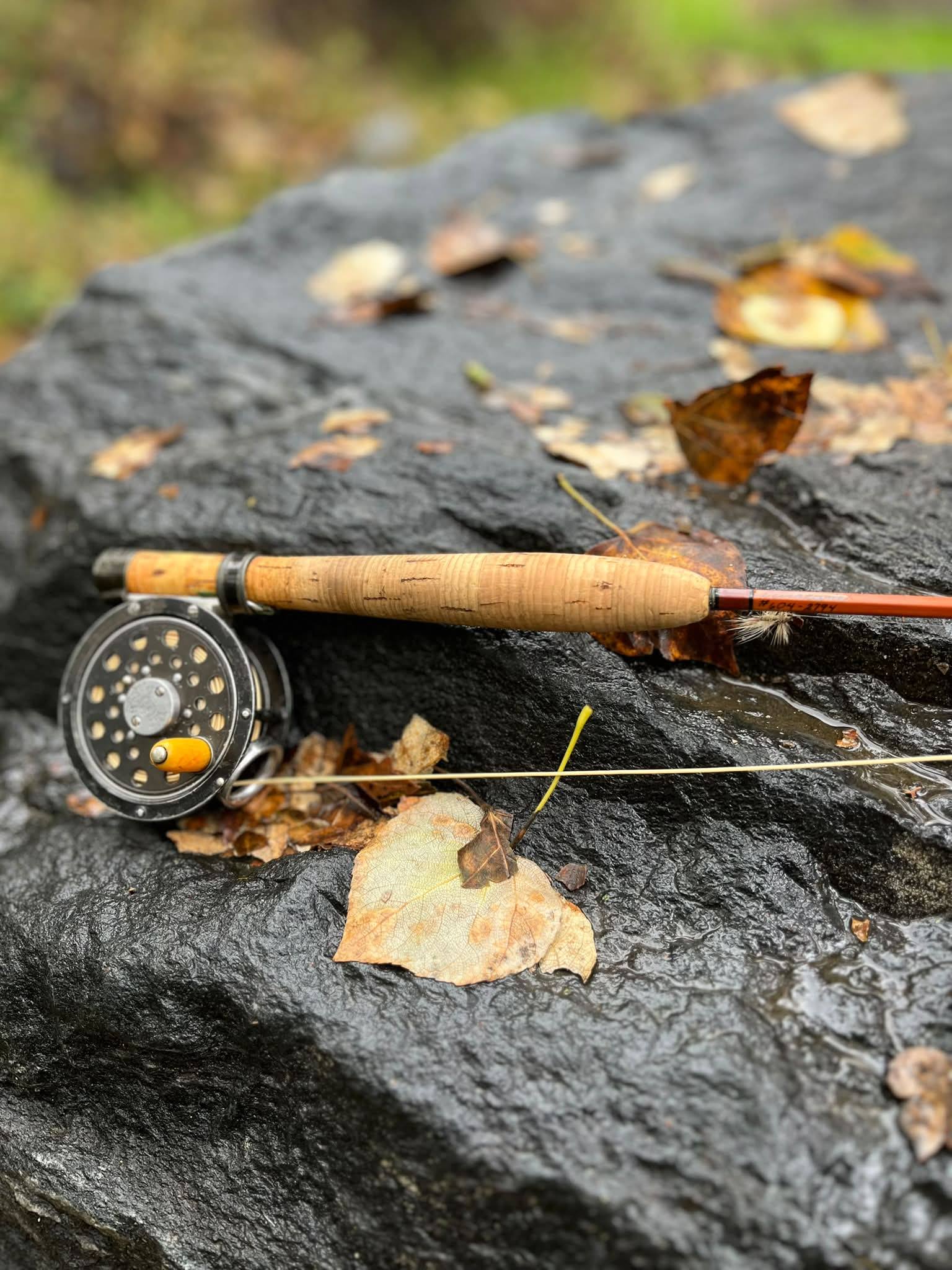 best fly rod fish grand canyon Cedar Elite Combo and line provide superior performance on the water Fishing with a DT4 fly