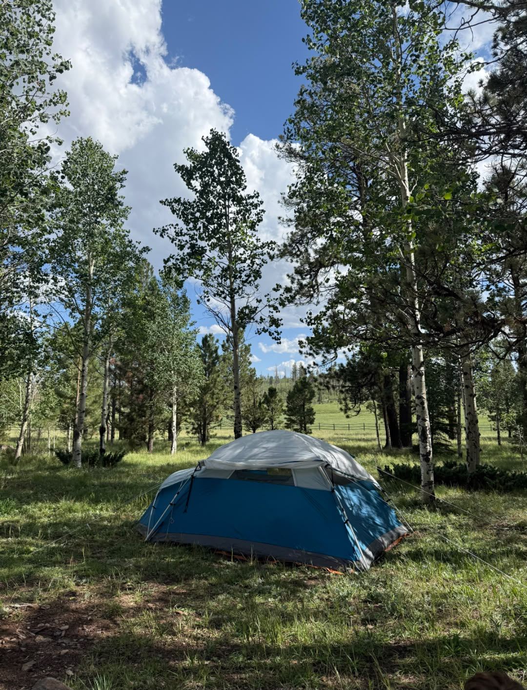 Jansport Mountain Dome tent durability and history