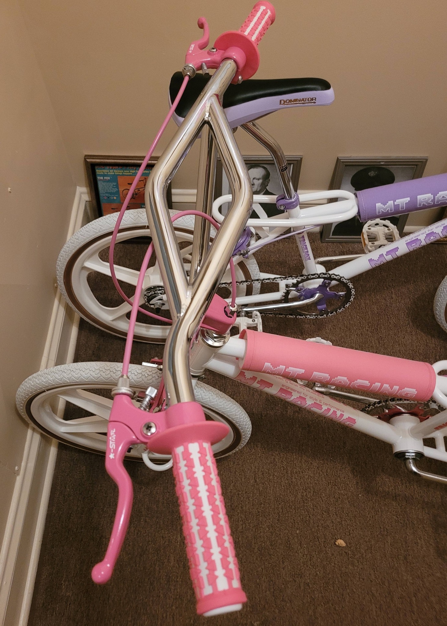1985 Mt Racing Trickfox for sale