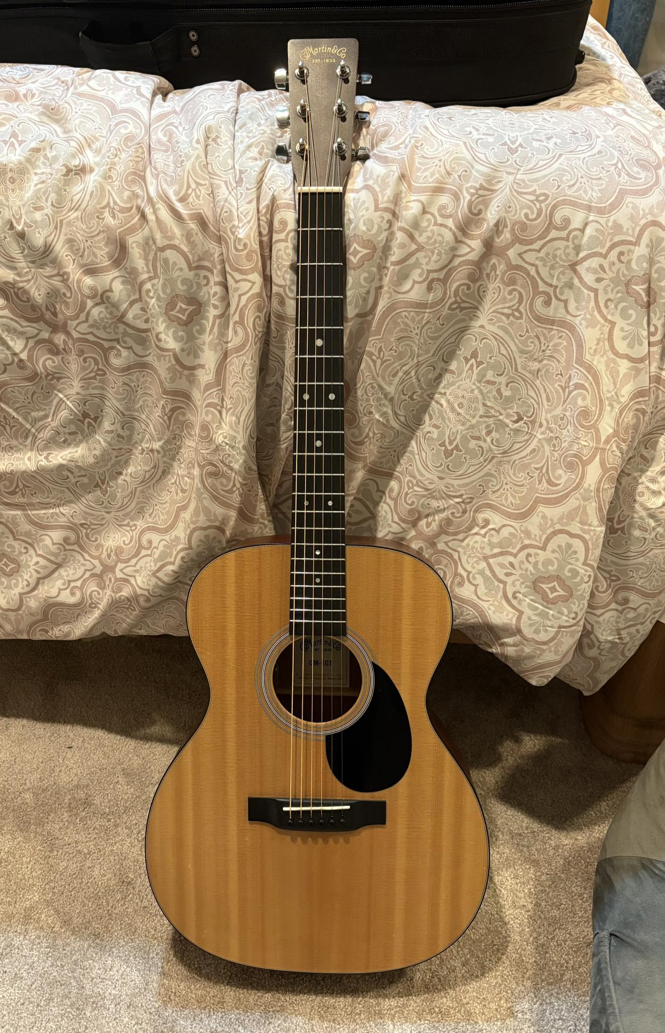 テキスト】 Martin OM-1GT ? (管理ワテ)