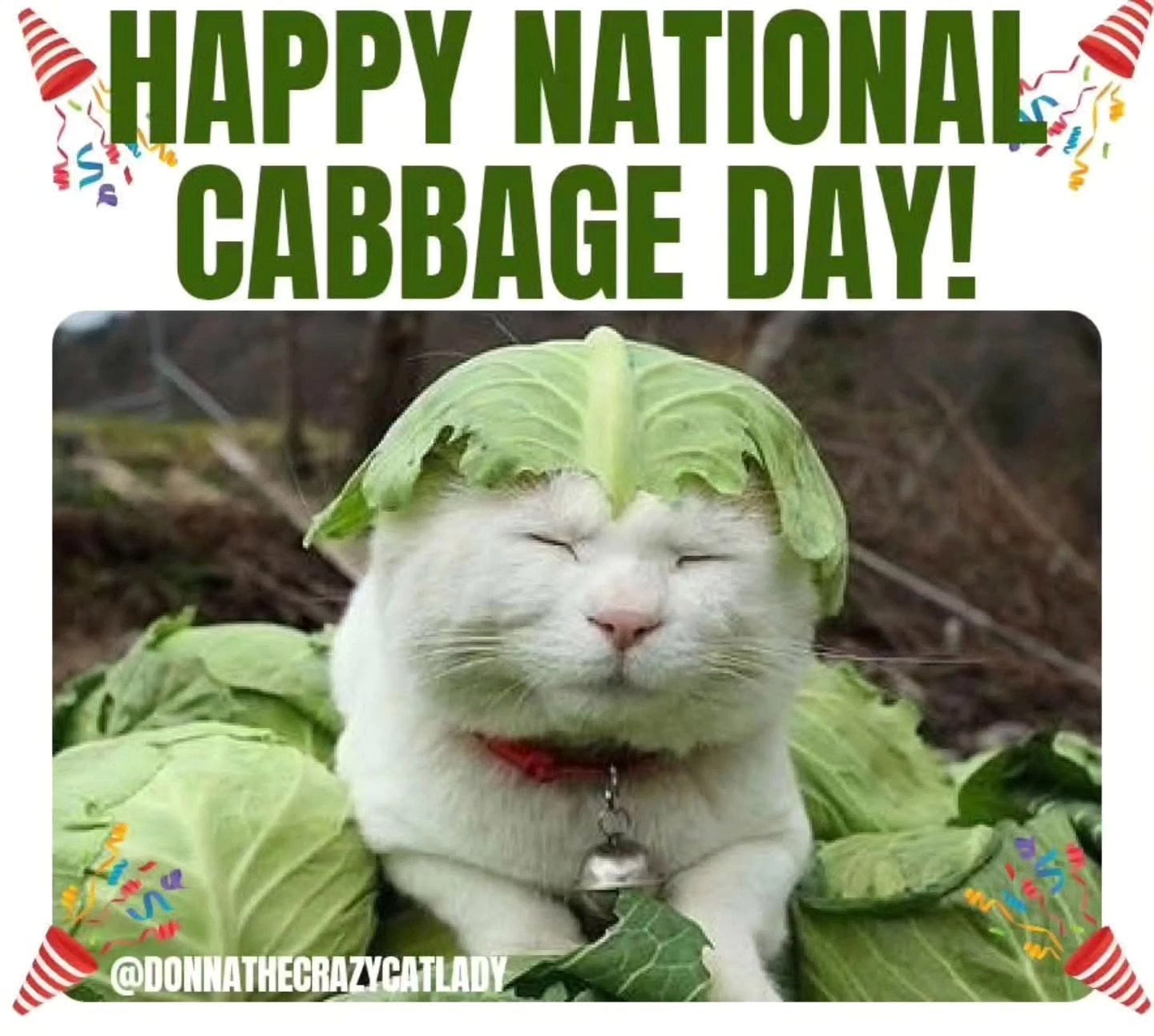 Donna - Happy National Cabbage Day! 🎉😻🐕🐈‍⬛️🐾🥬🍲😻🎉 National Cabbage Day ...