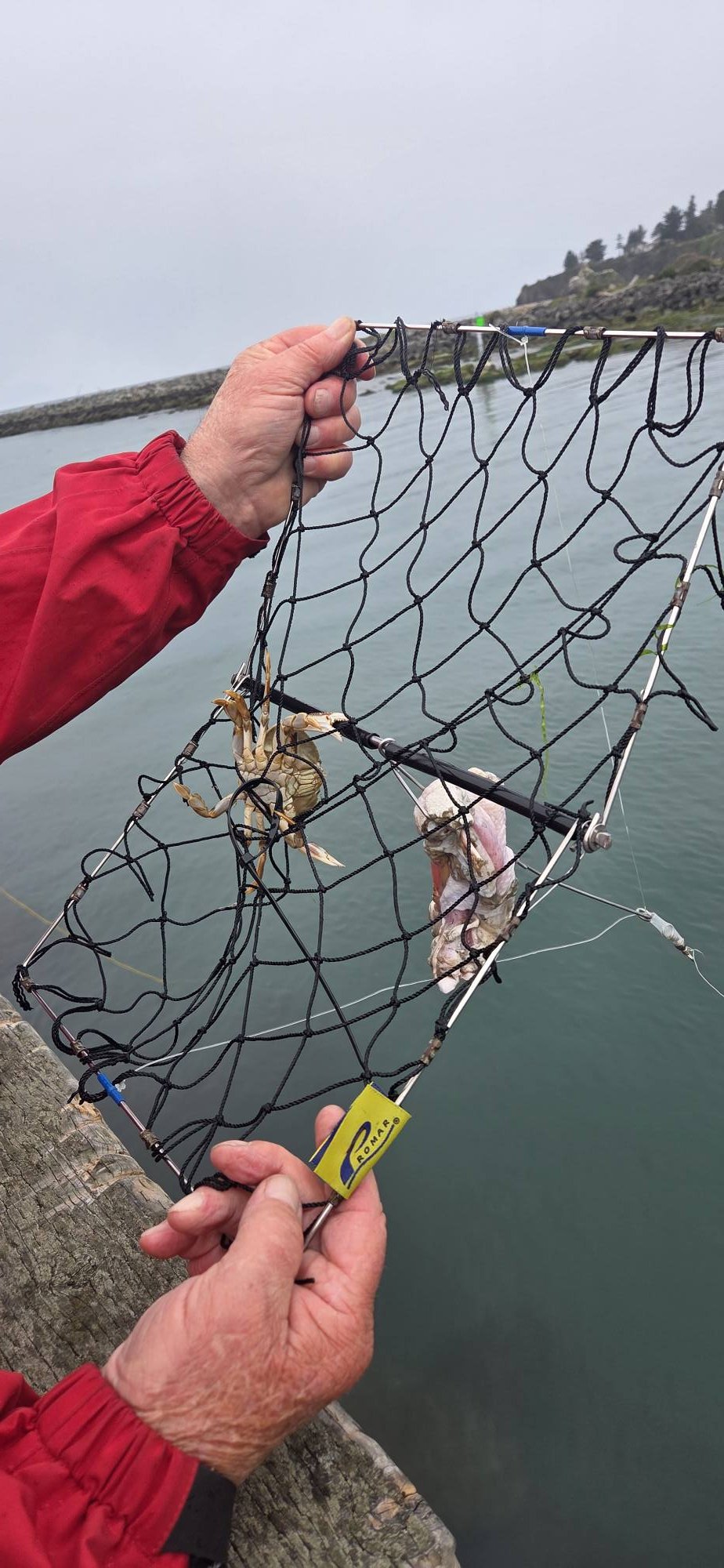 coos bay fishing nets Core Series Bait Net Coopay 4 Pieces Fishing Net