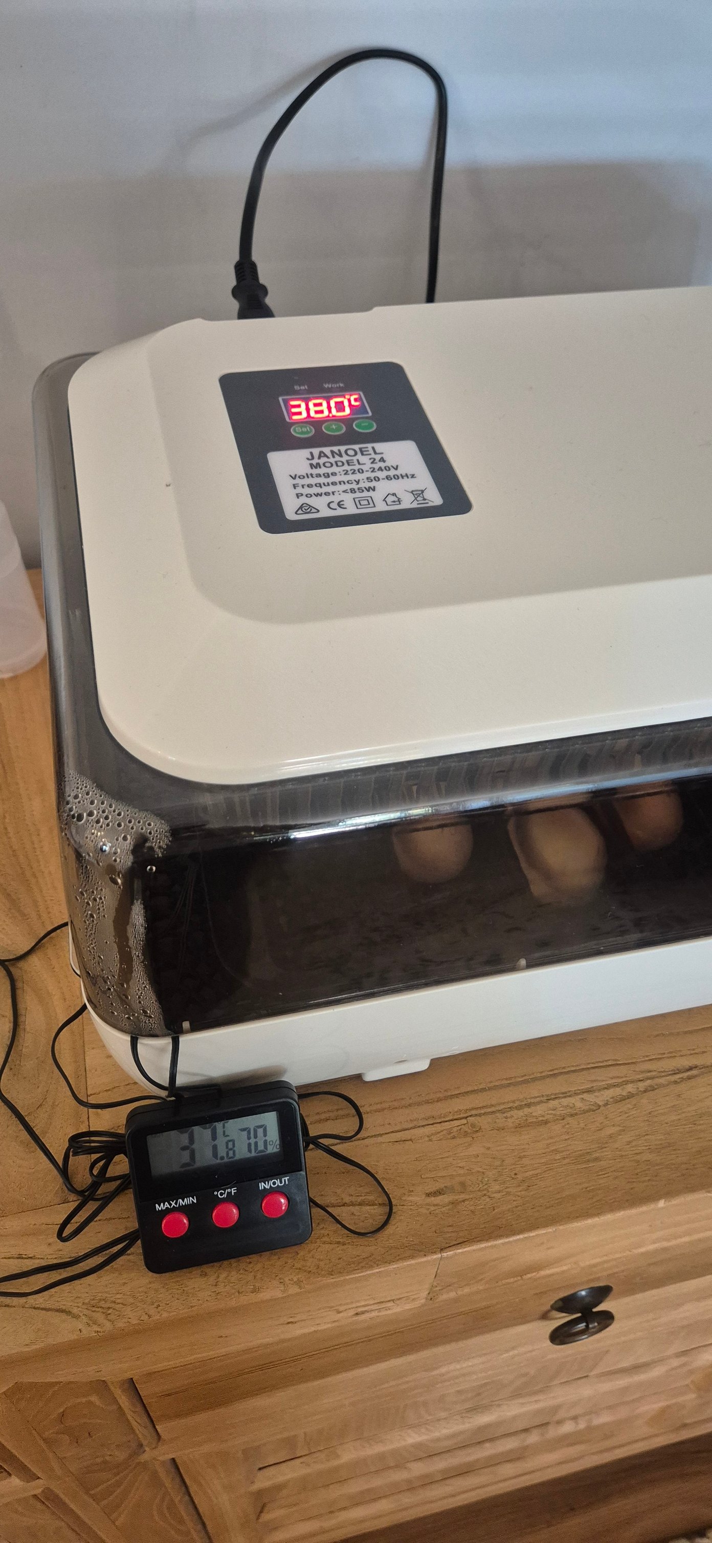 Setting up janoel 24 incubator for first use?