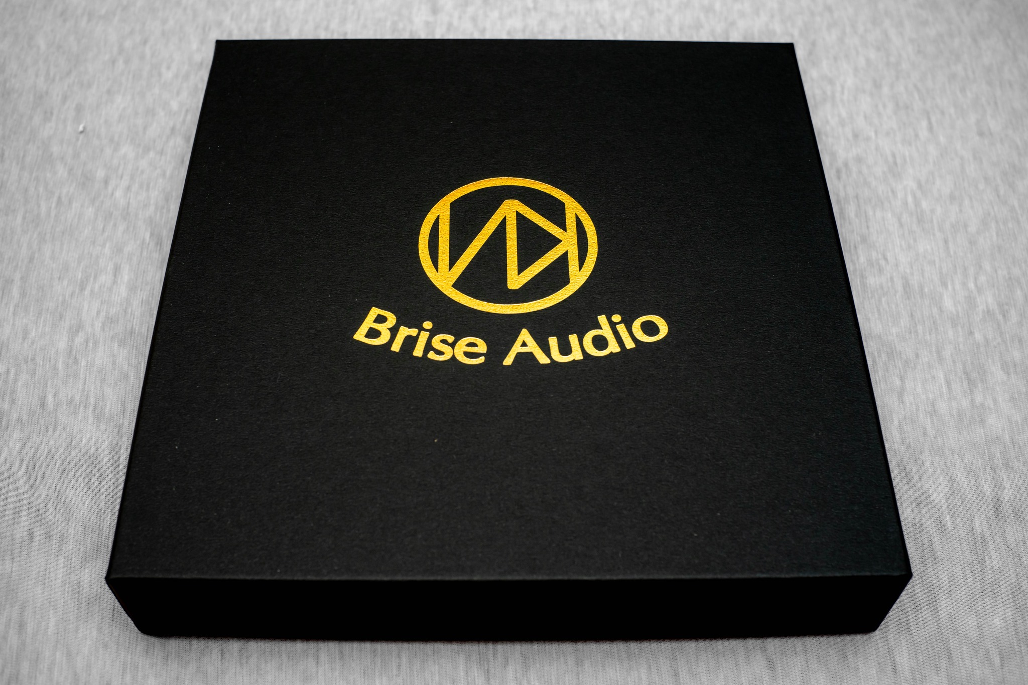 Upgrading hifiman ananda unveiled headphones with brise audio 