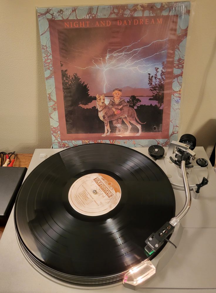 Ananta's Night and Daydream 1978 album review