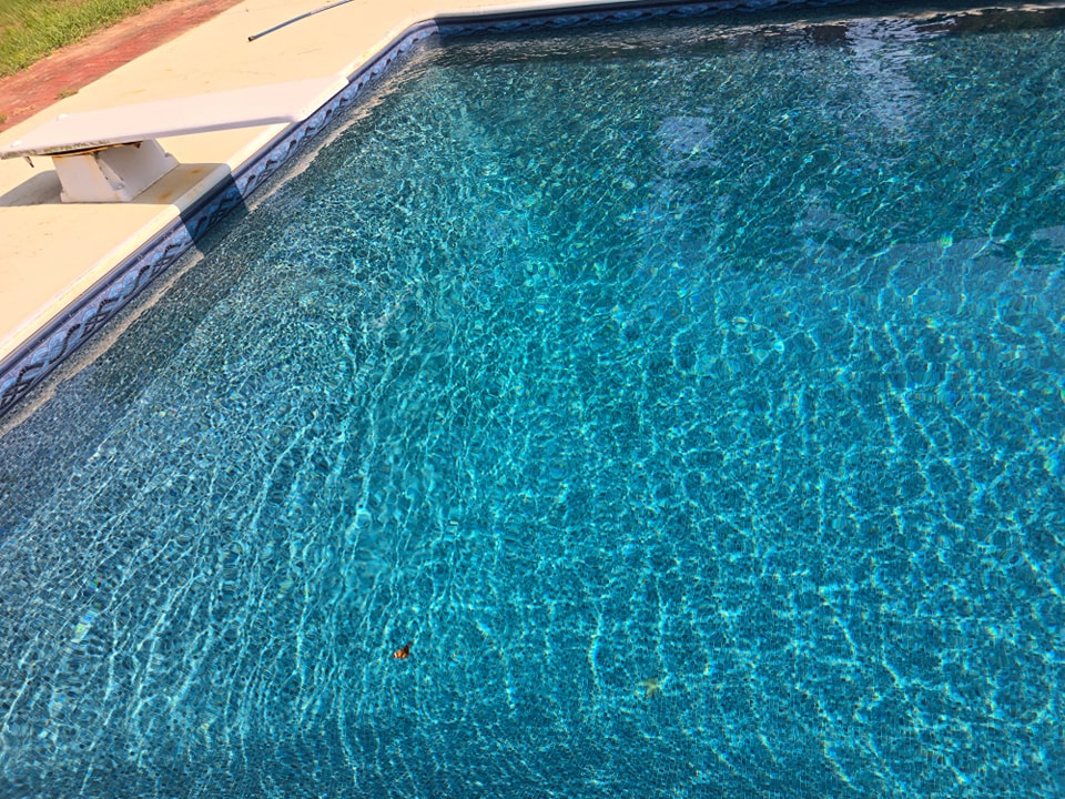The water colors from the Durango... - Pool Liner Pros Inc | Facebook
