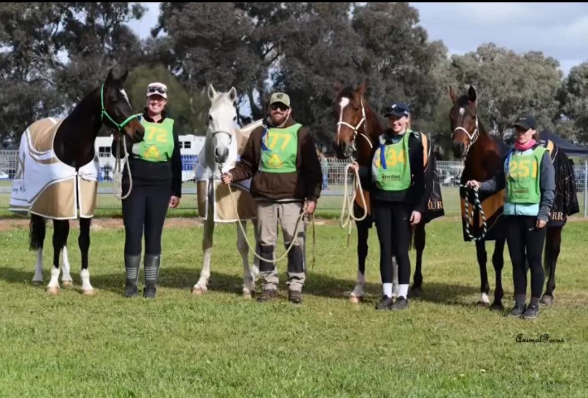 Endurance Chatter | We need an another jockey or 2 for the upcoming ...