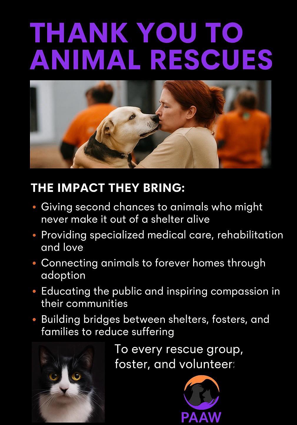Public Accountability for Animal Welfare (PAAW) | 🌟 The Value of Animal ...