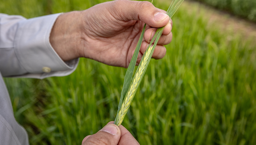Farm - #SponsoredArticle Experience the Next Wave: Unlocking Success ...