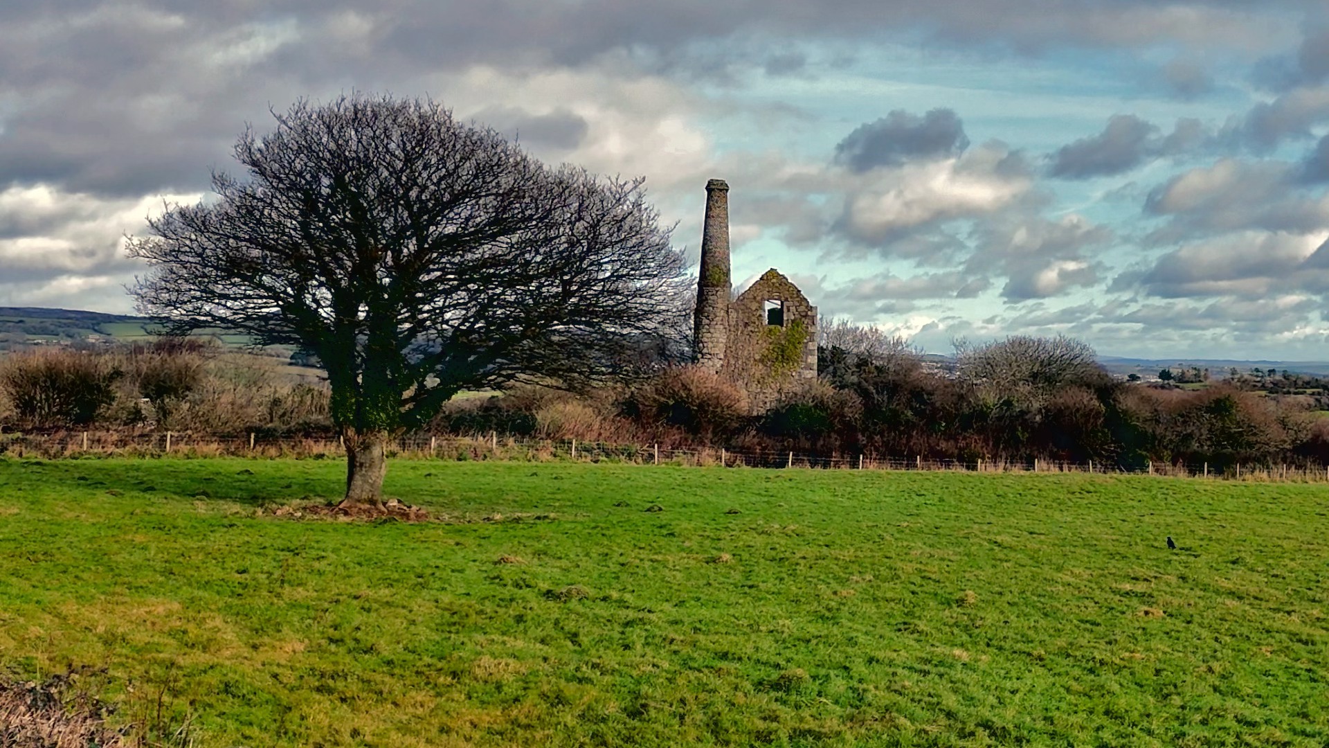 Polgooth Village Community | A little look at (and down) South Polgooth ...