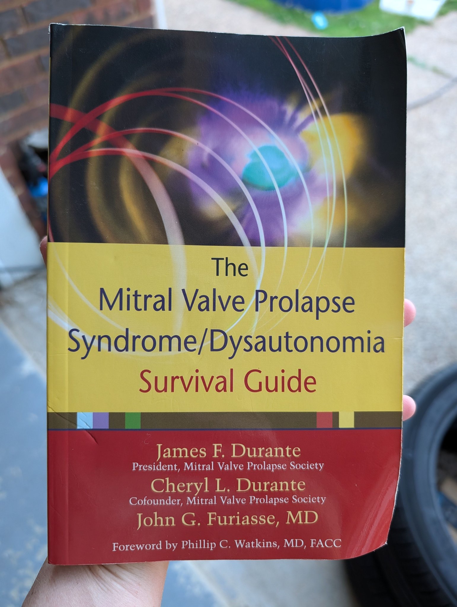 l carnitine for mitral valve prolapse MVP and dysautonomia connection explained in survival guide Size:1000 mcg/ml - 10 ml x 1 Figure 1.1 from Differences aneeza gold