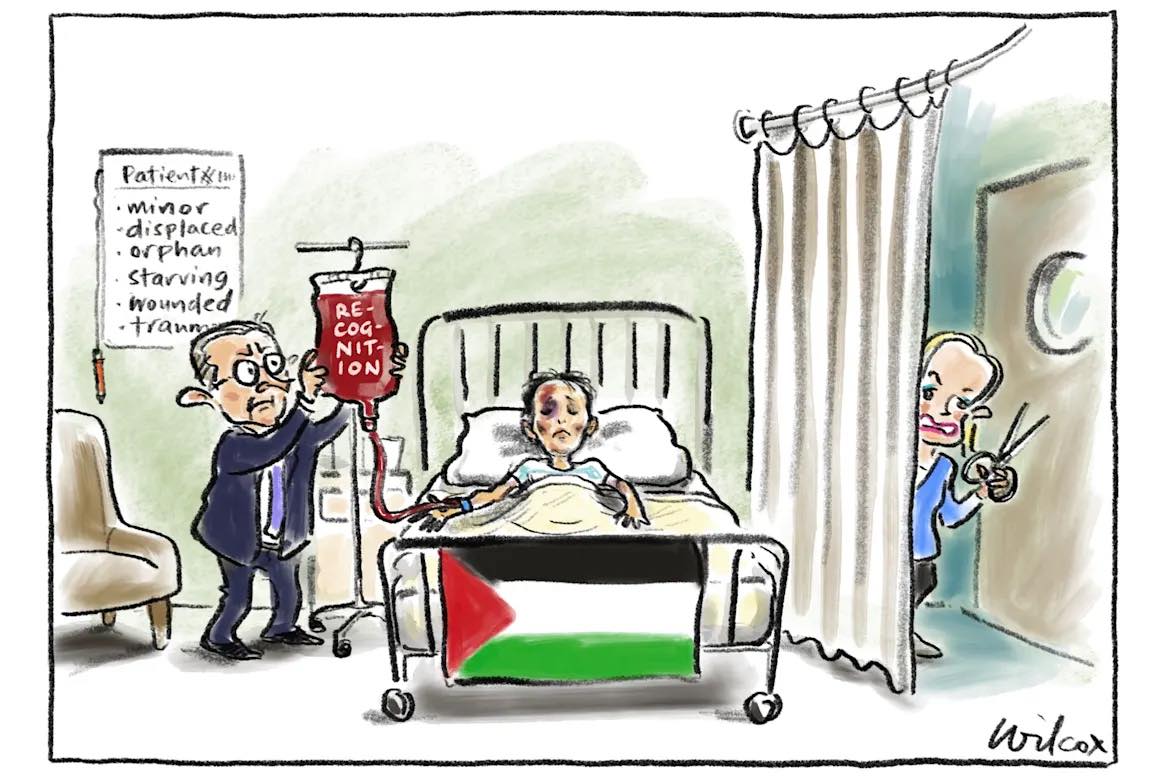 Jo Fallshaw - Cathy Wilcox nails it (as usual)! Labor... | Facebook