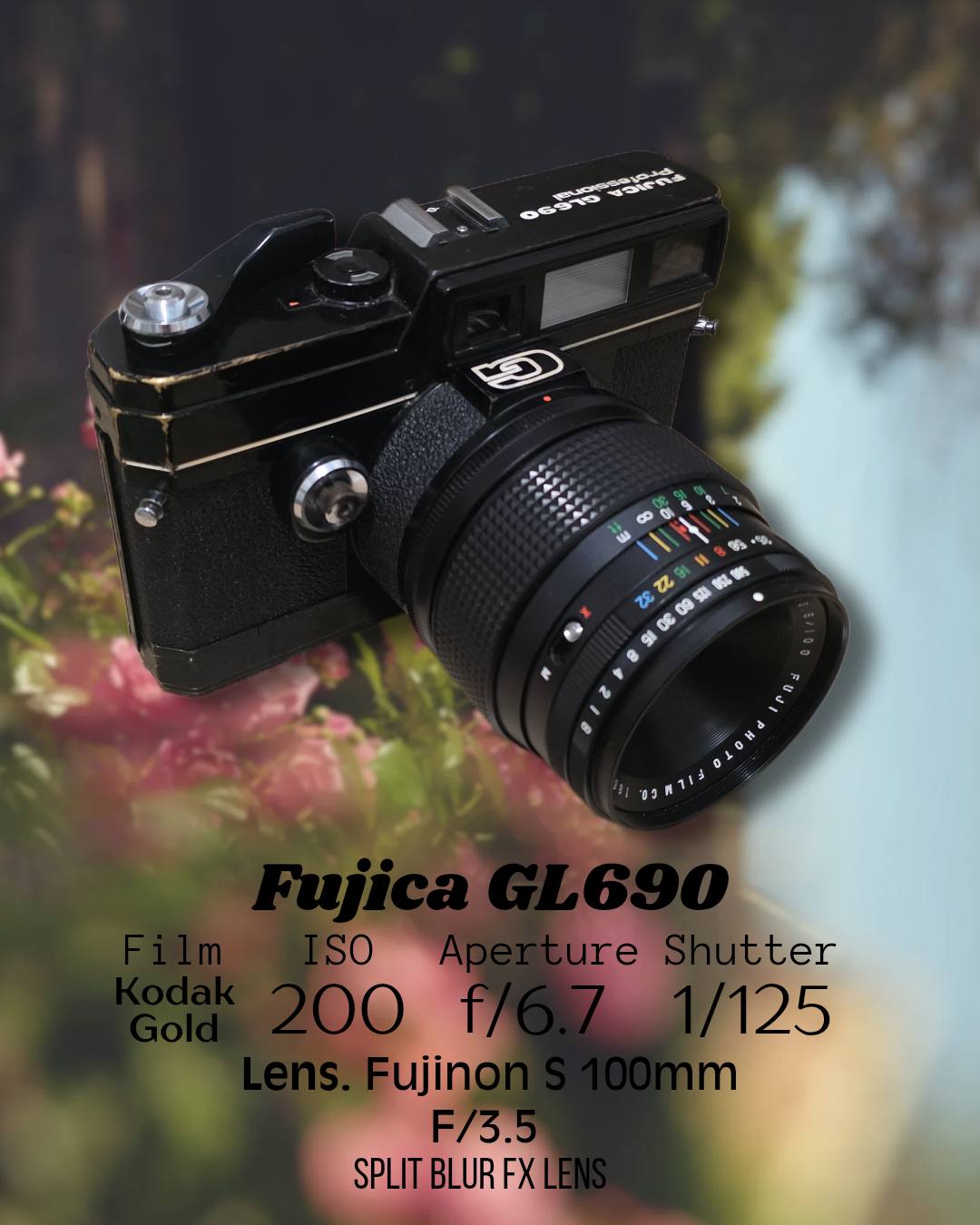 Fujica GL690 Rangefinder Portraits with EBC Fujinon AE 100mm f/3.5