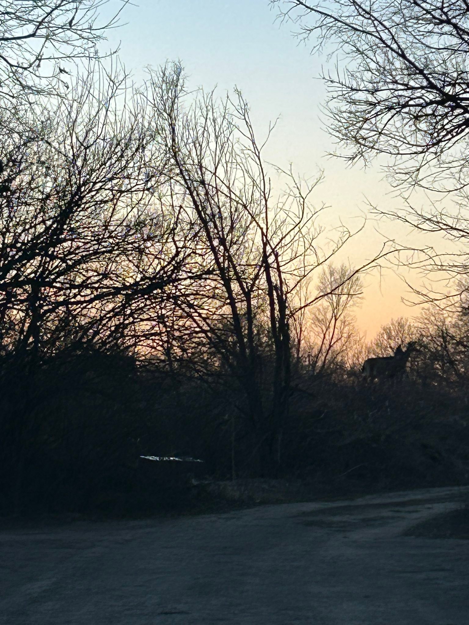2/23 beautiful sunset on this frigid day in Decatur | Facebook