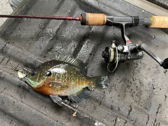 best rod and spinning reel for trout fishing Sougayilang Combo, Two Pieces Colorful Poratble Light Weight Fishing Rod with Powerful Fishing Gear Freshwater Bass Fishing : Sports & Outdoors 13 Fishing The Snitch/Descent Color:Sprayed Grass long shank