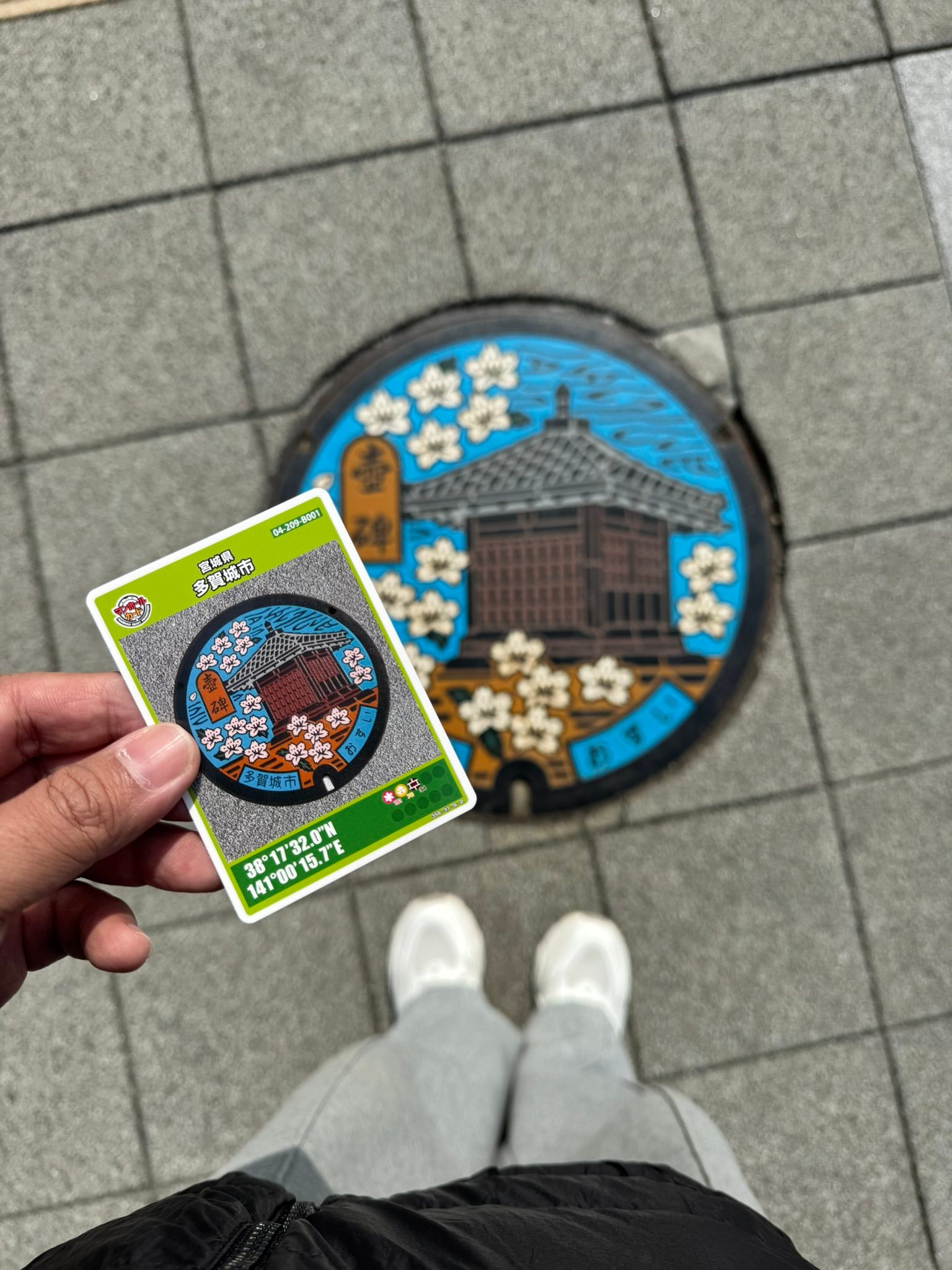 Tohoku manhole cover cards collection display picture 1