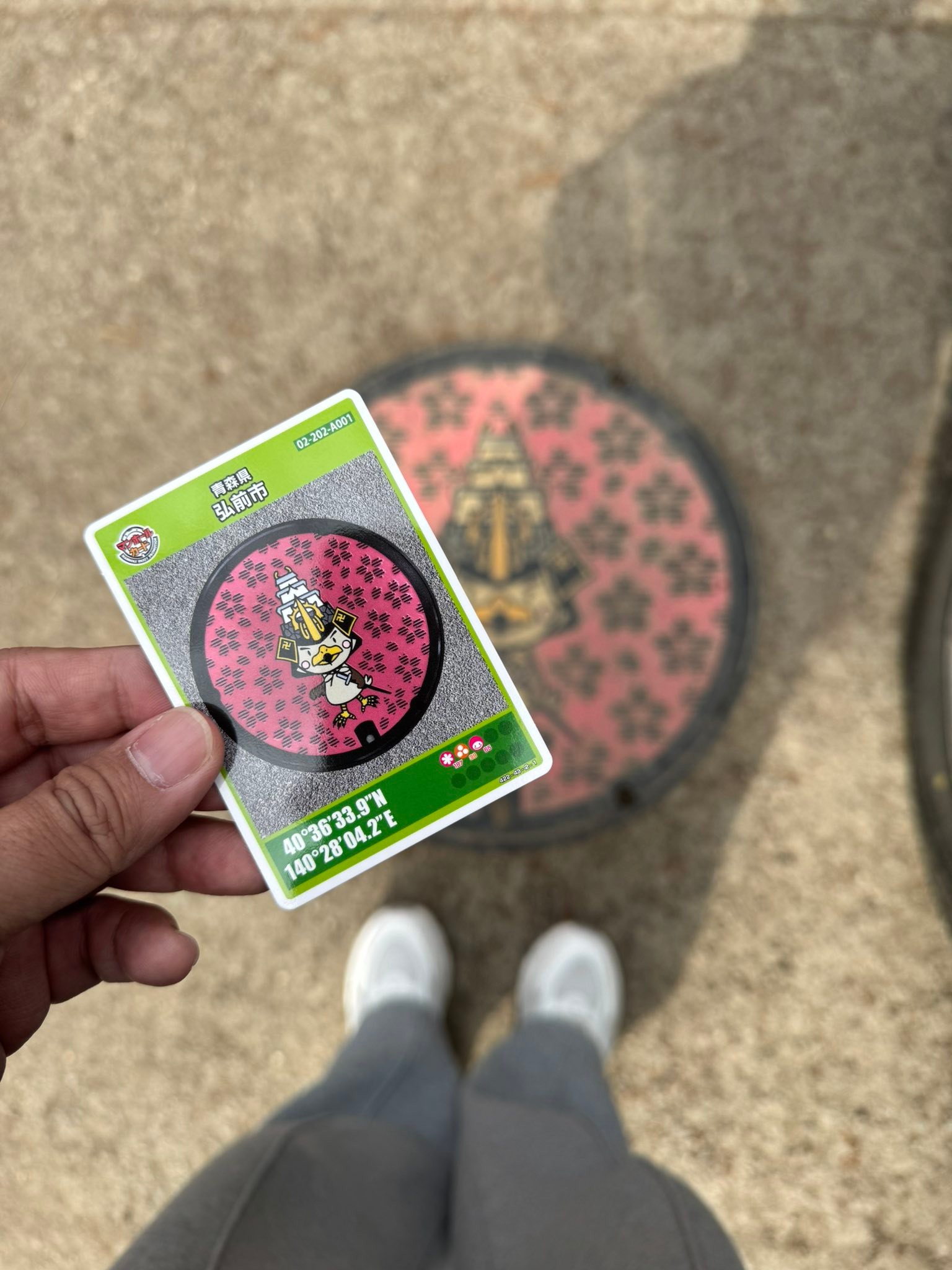 Tohoku manhole cover cards collection display picture 1
