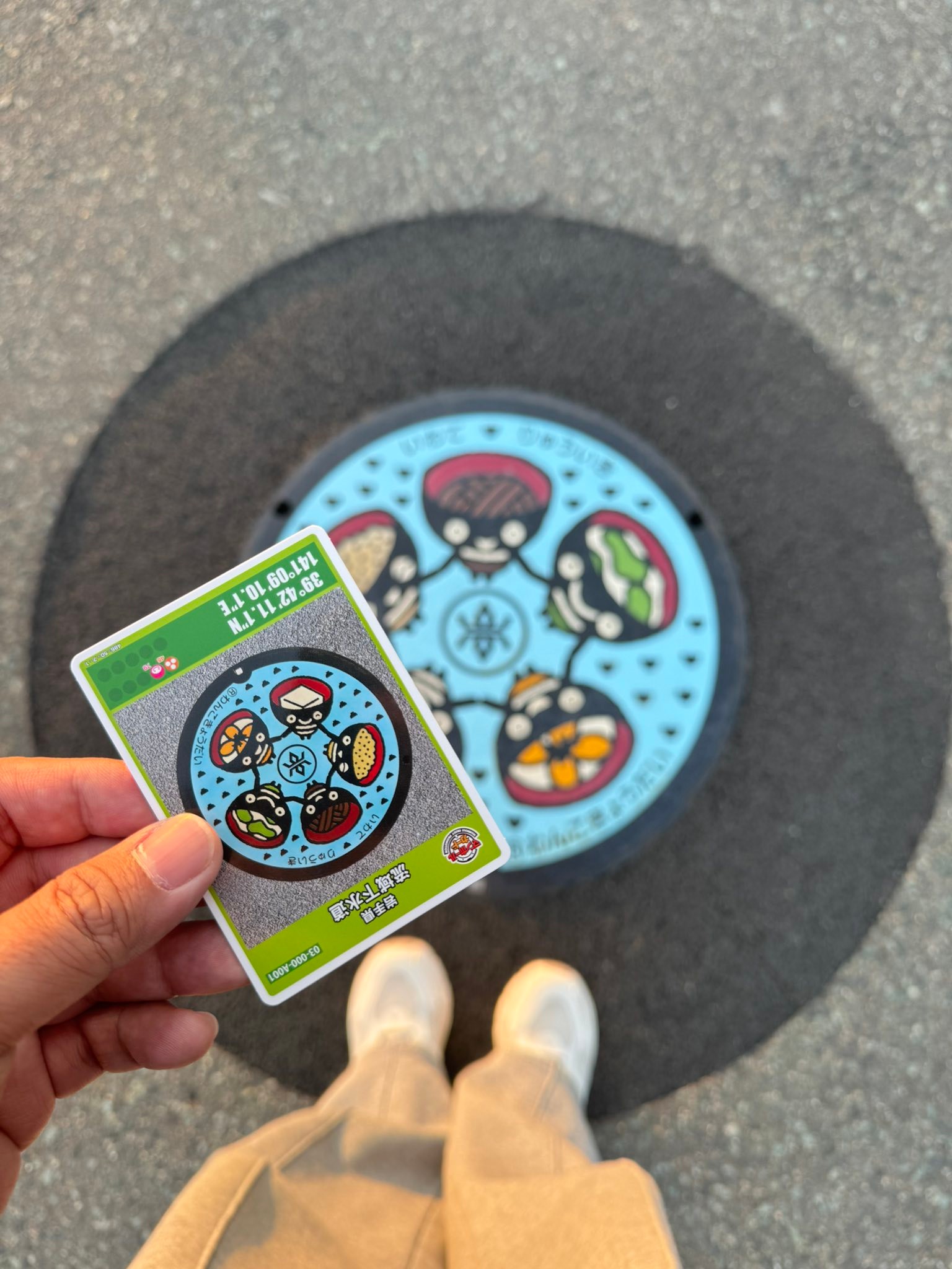 Tohoku manhole cover cards collection display picture 1