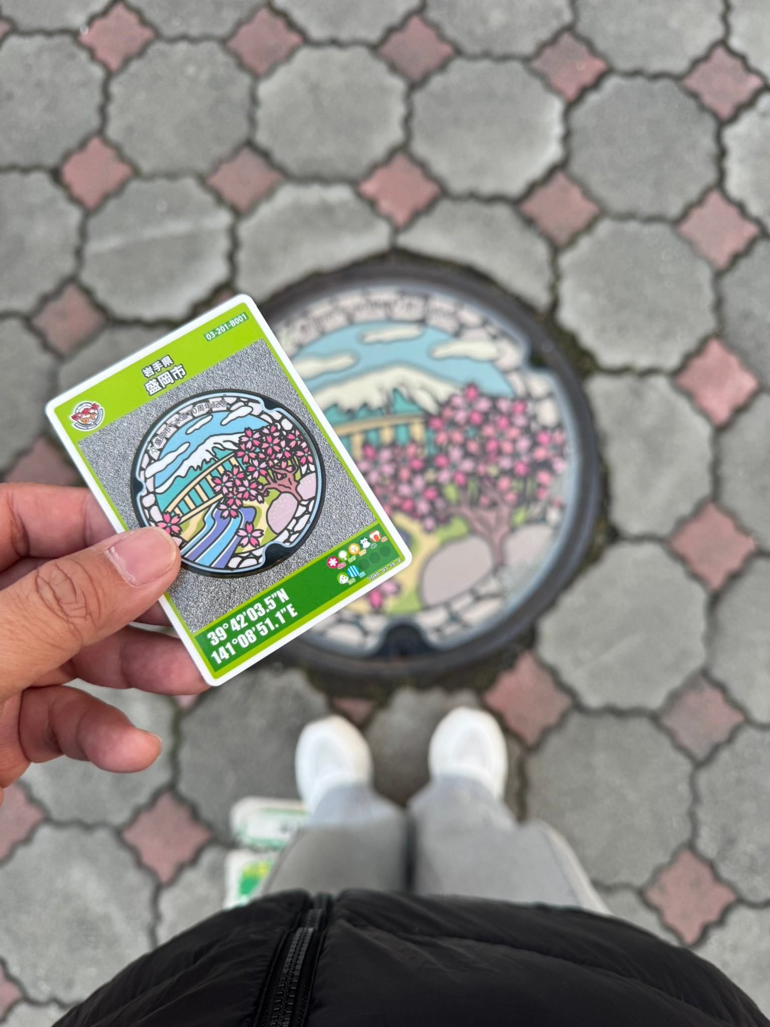 Tohoku manhole cover cards collection display picture 1