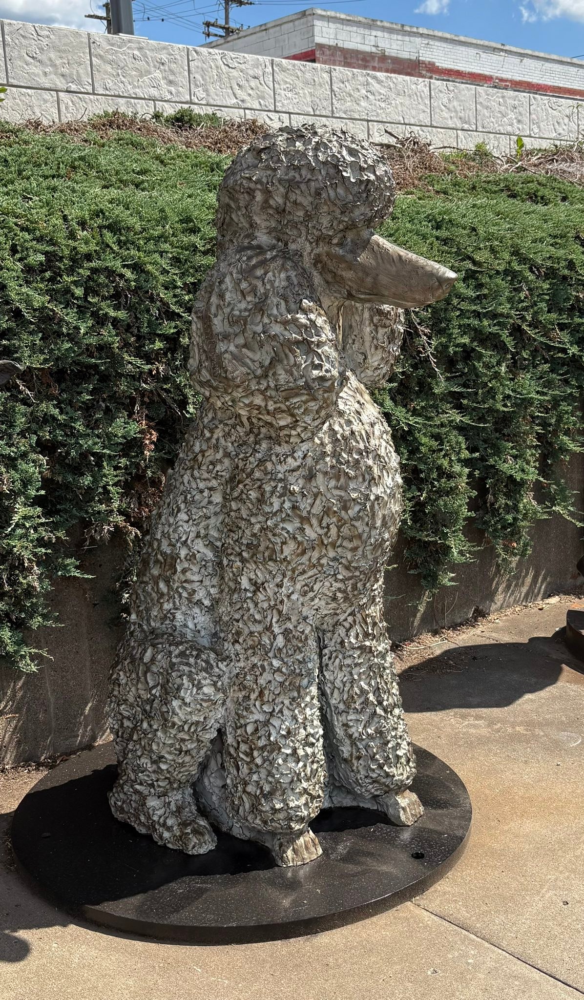 Random statue we came across today in our travels to Zanesville Ohio