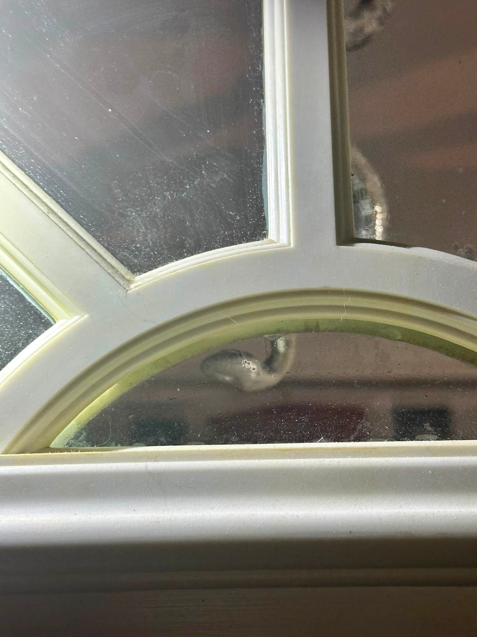 Can someone identify this snake? He's on our front door!