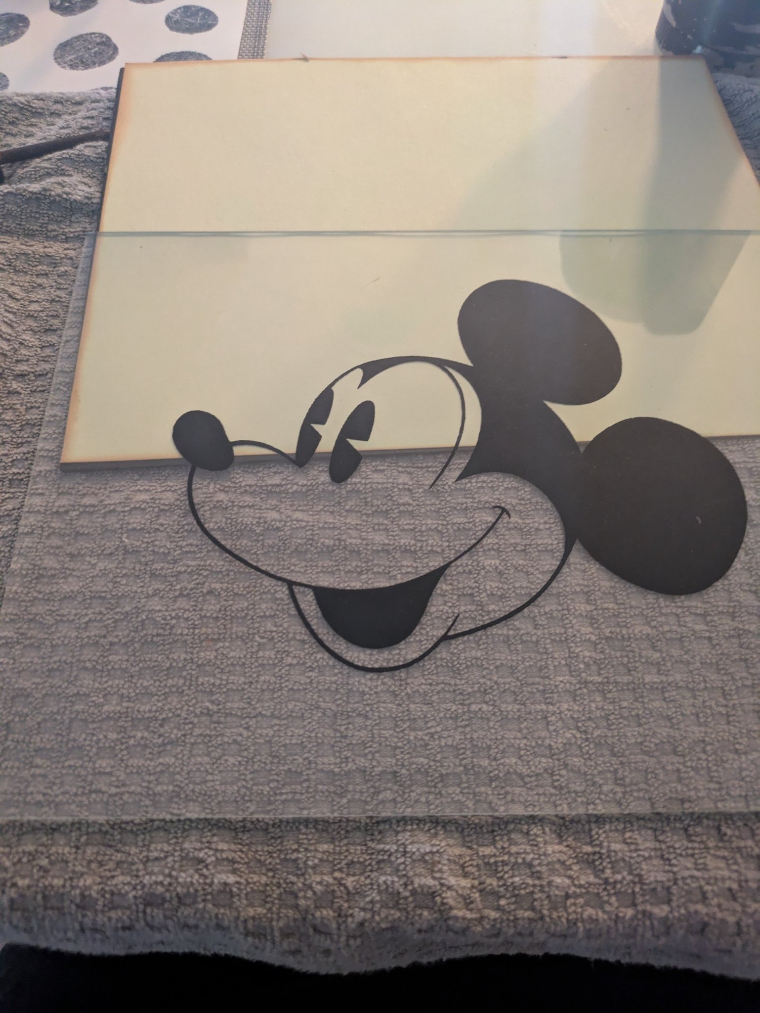 Rare 2006 iPod Nano Mickey Mouse model for sale?