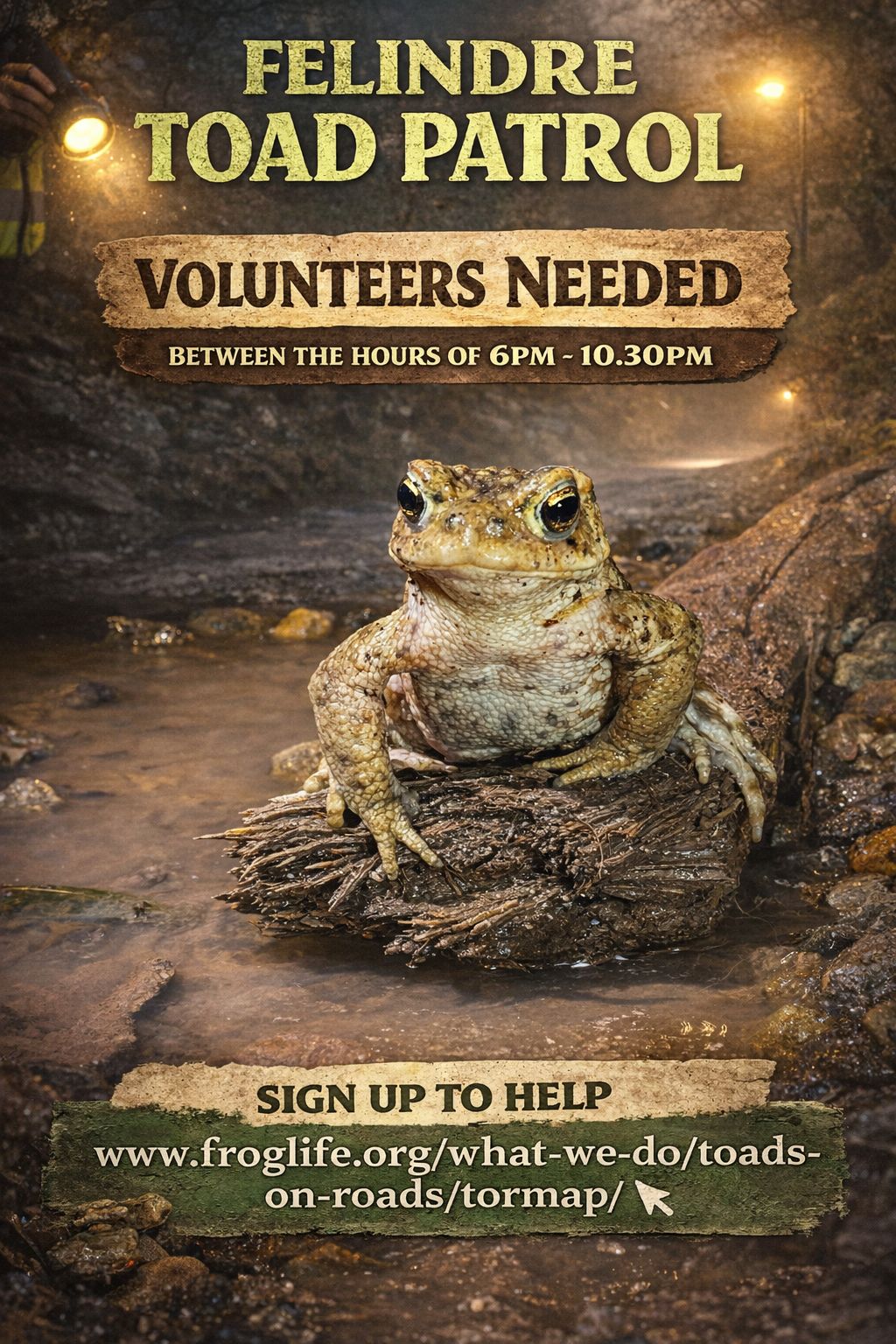 Felindre Toad Patrol | Facebook