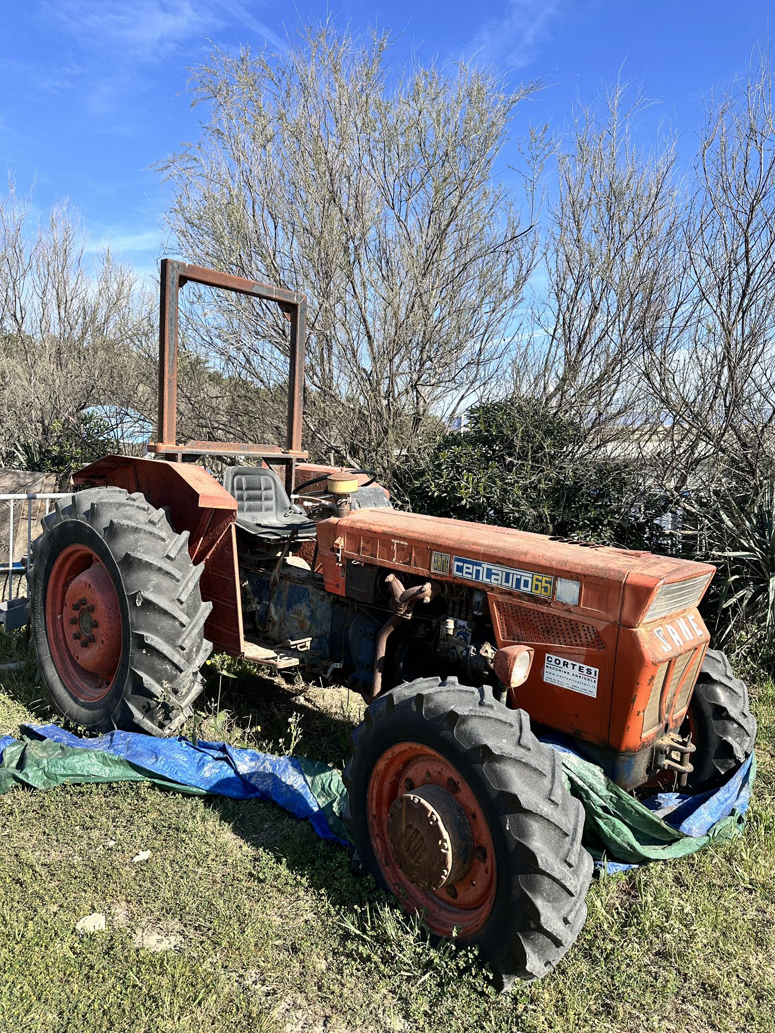 SAME ASTER 60 70 Manuale officina istruzioni riparazione trattore ITALIANO