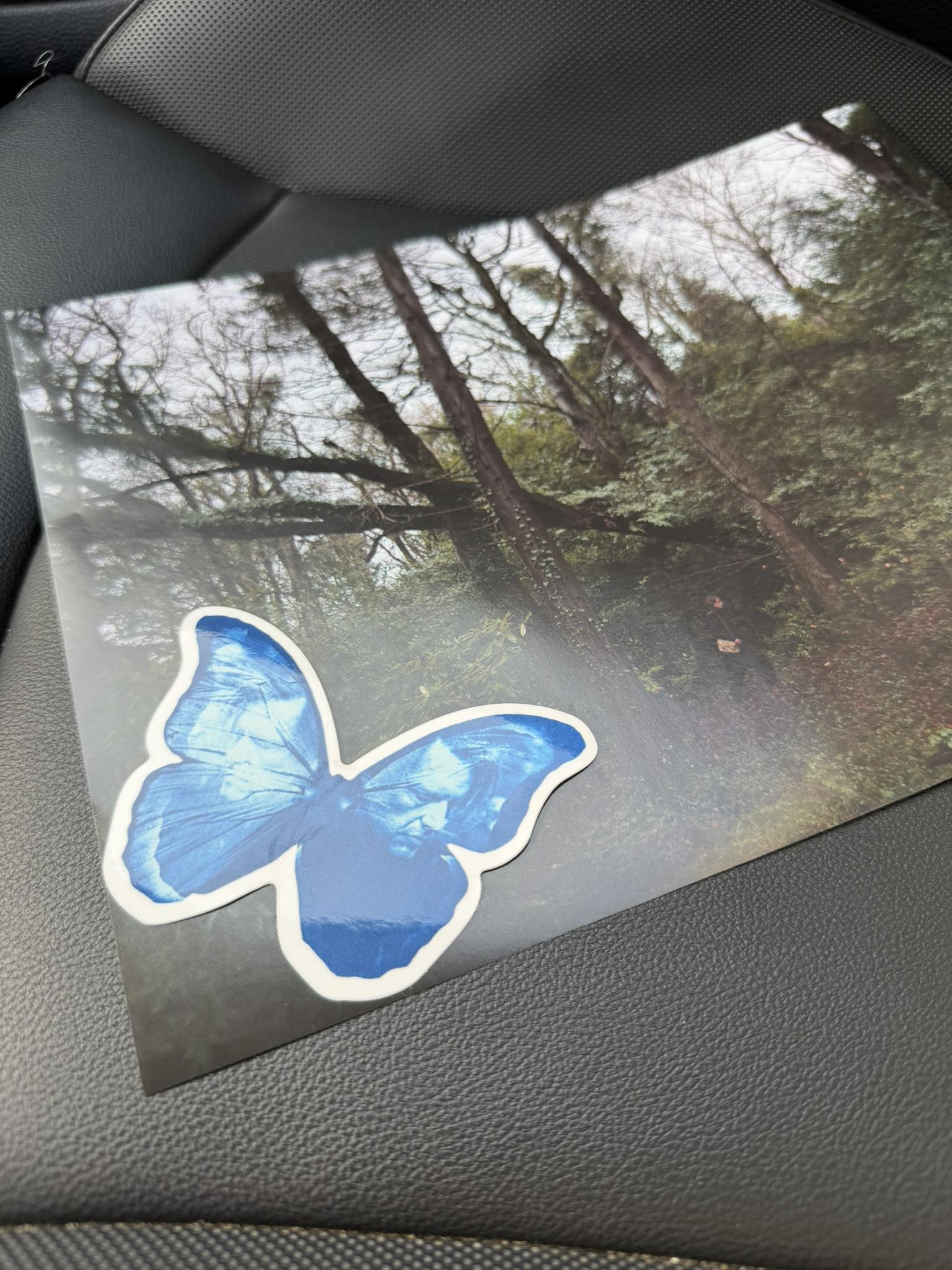 ED O' Brien - Blue Morpho Signed album #EDOBrien #BlueMorpho