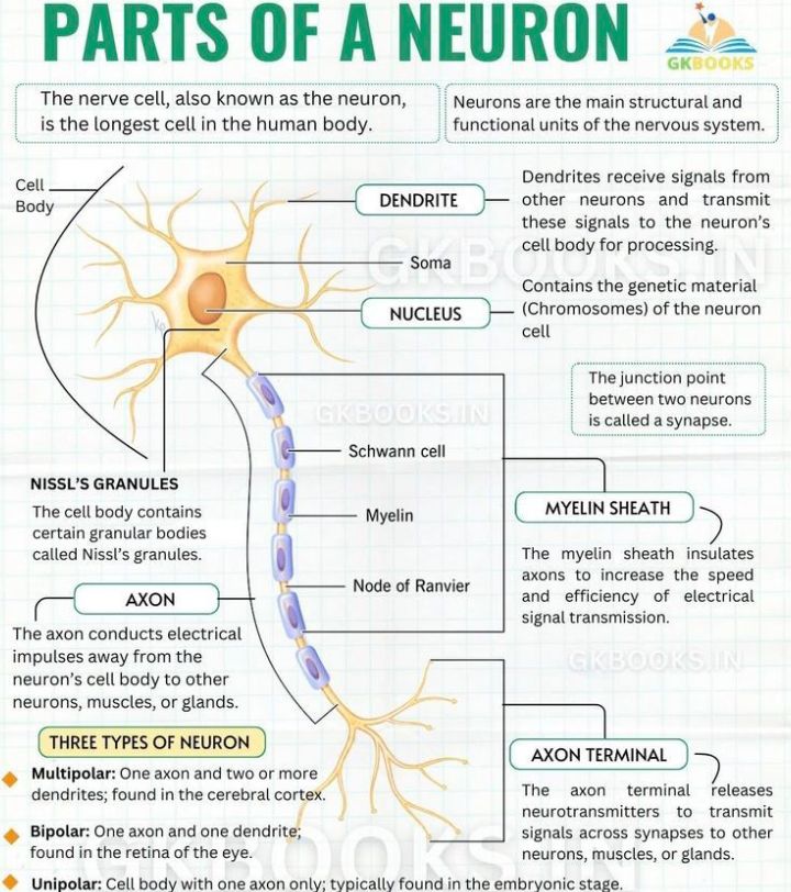 Biology physics chemistry and mathematics question and answer | **“This ...