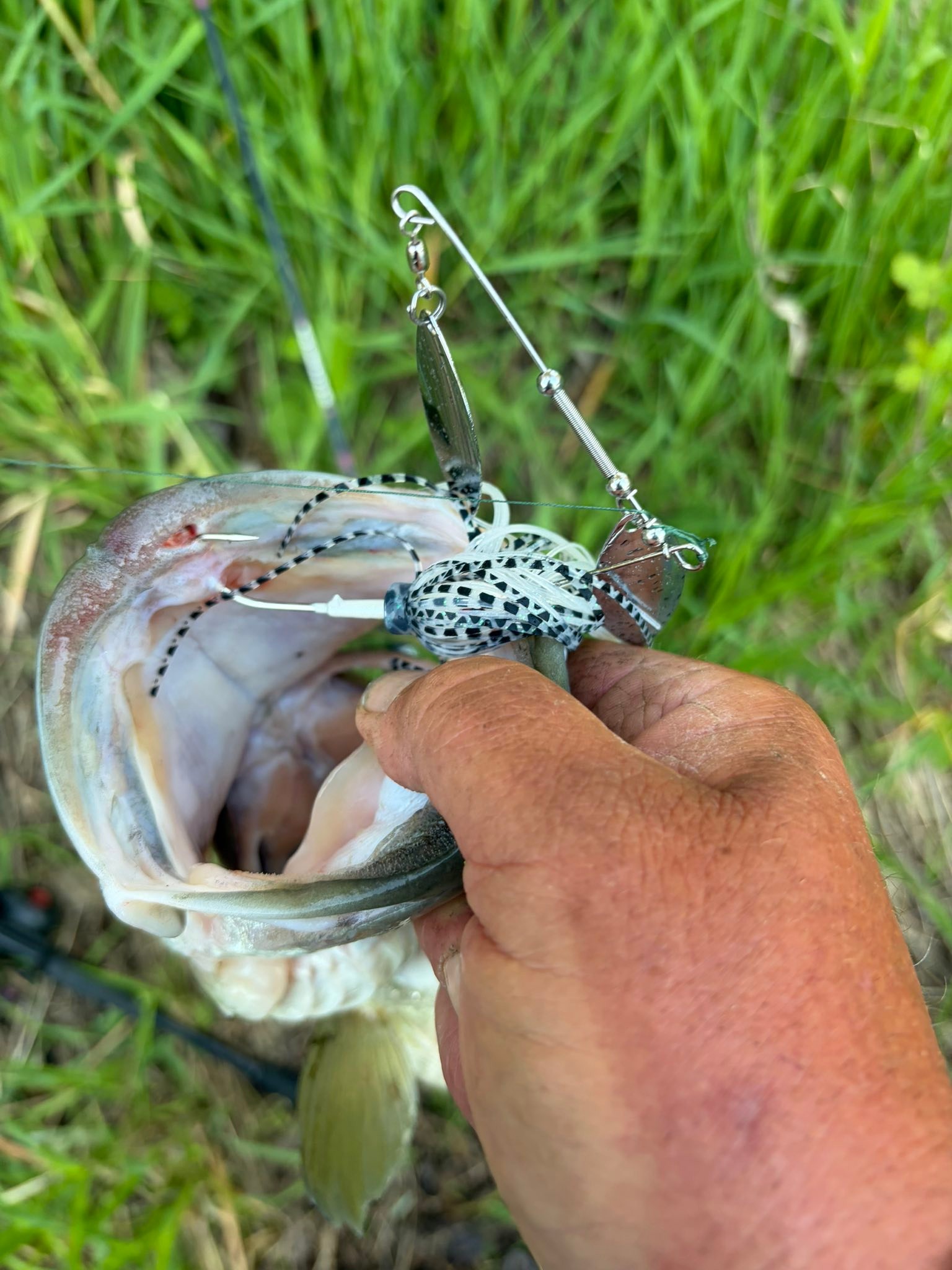 best lure for bass in sinclair Nomad Tackle Ultimate Lures Bundle Top 5 SPRING Baits For