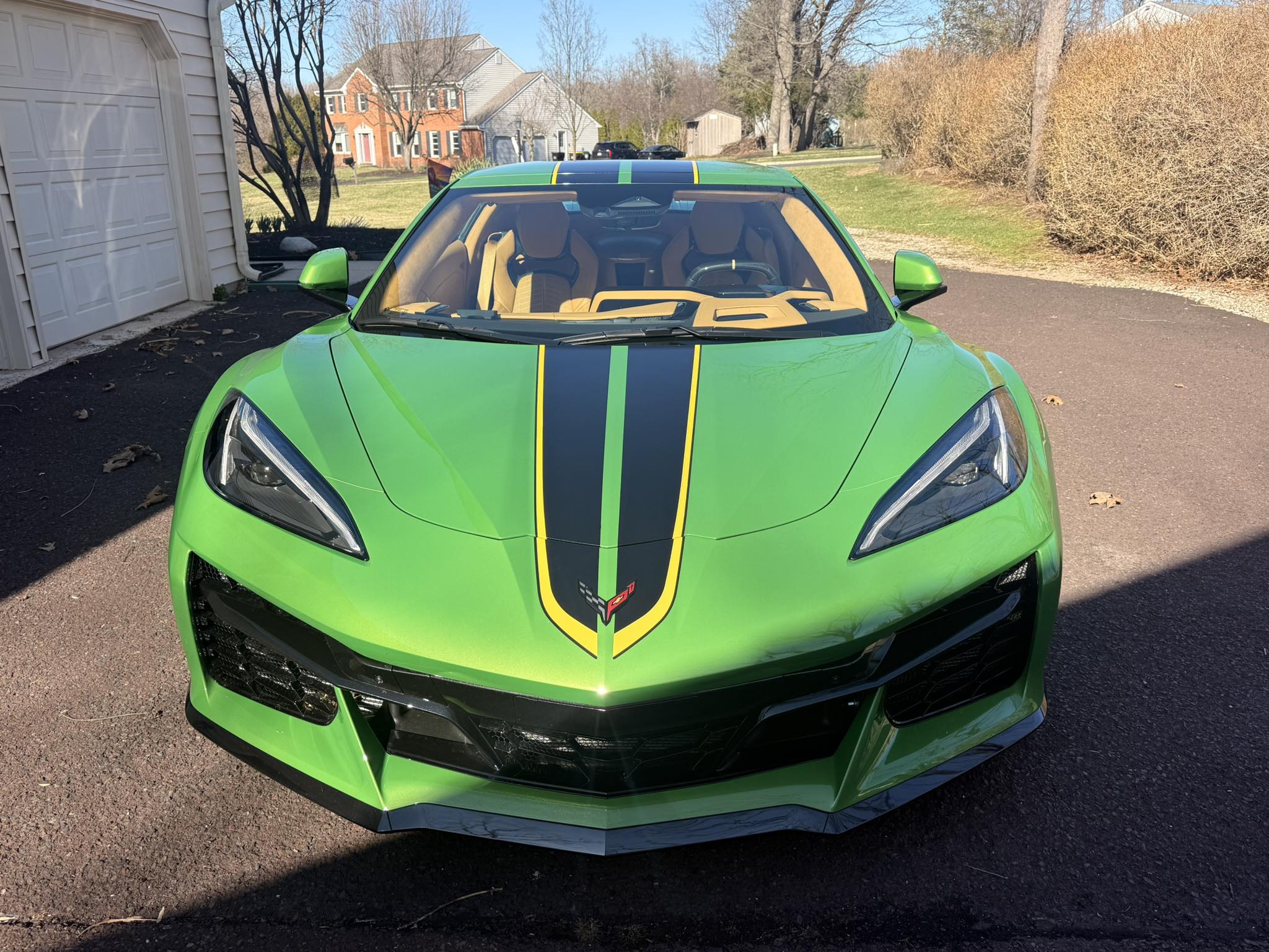 Just brought her home! 한하는 S م 日聞 M