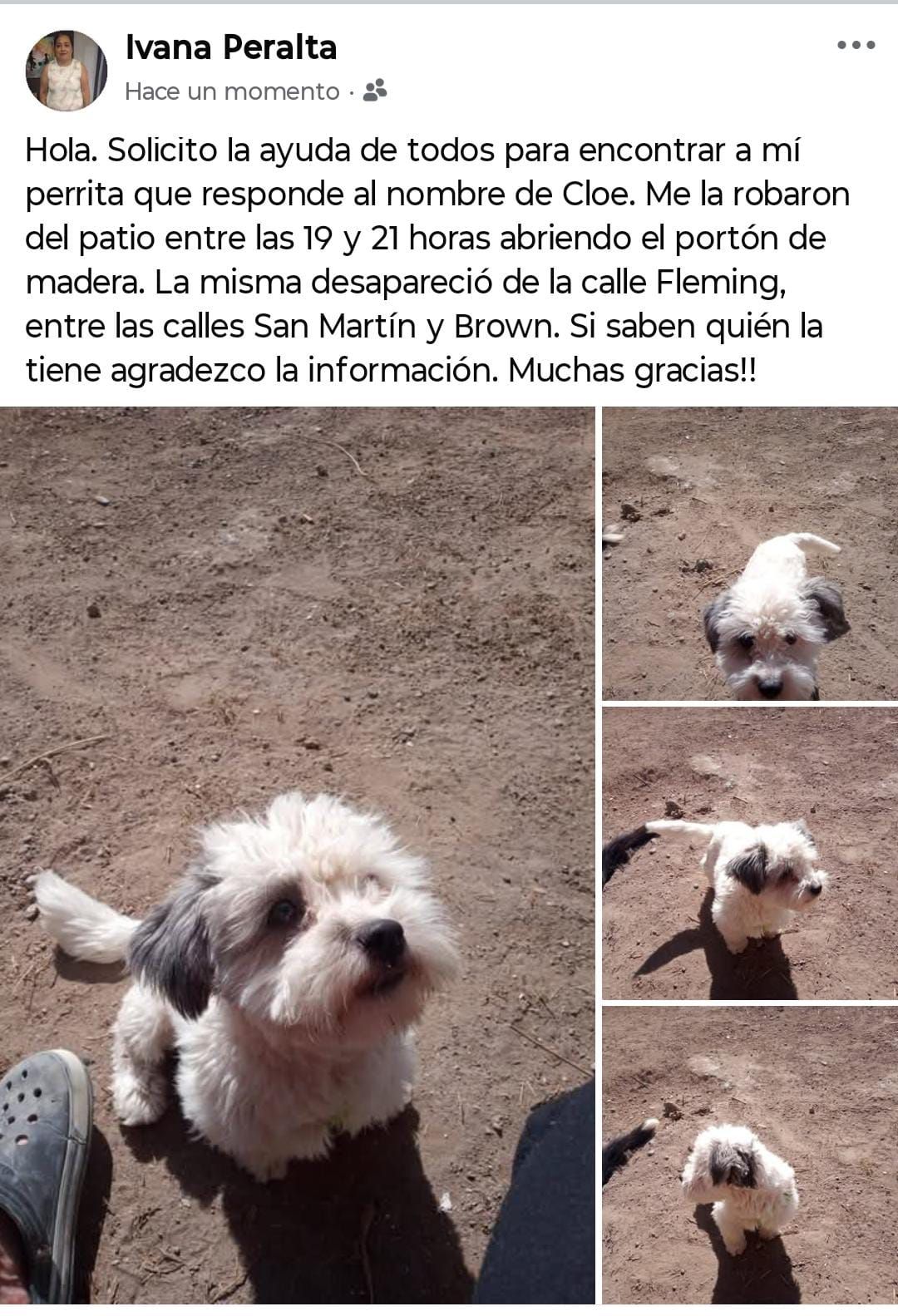 Proteccionistas Independientes de la Comarca Viedma - Carmen de ...
