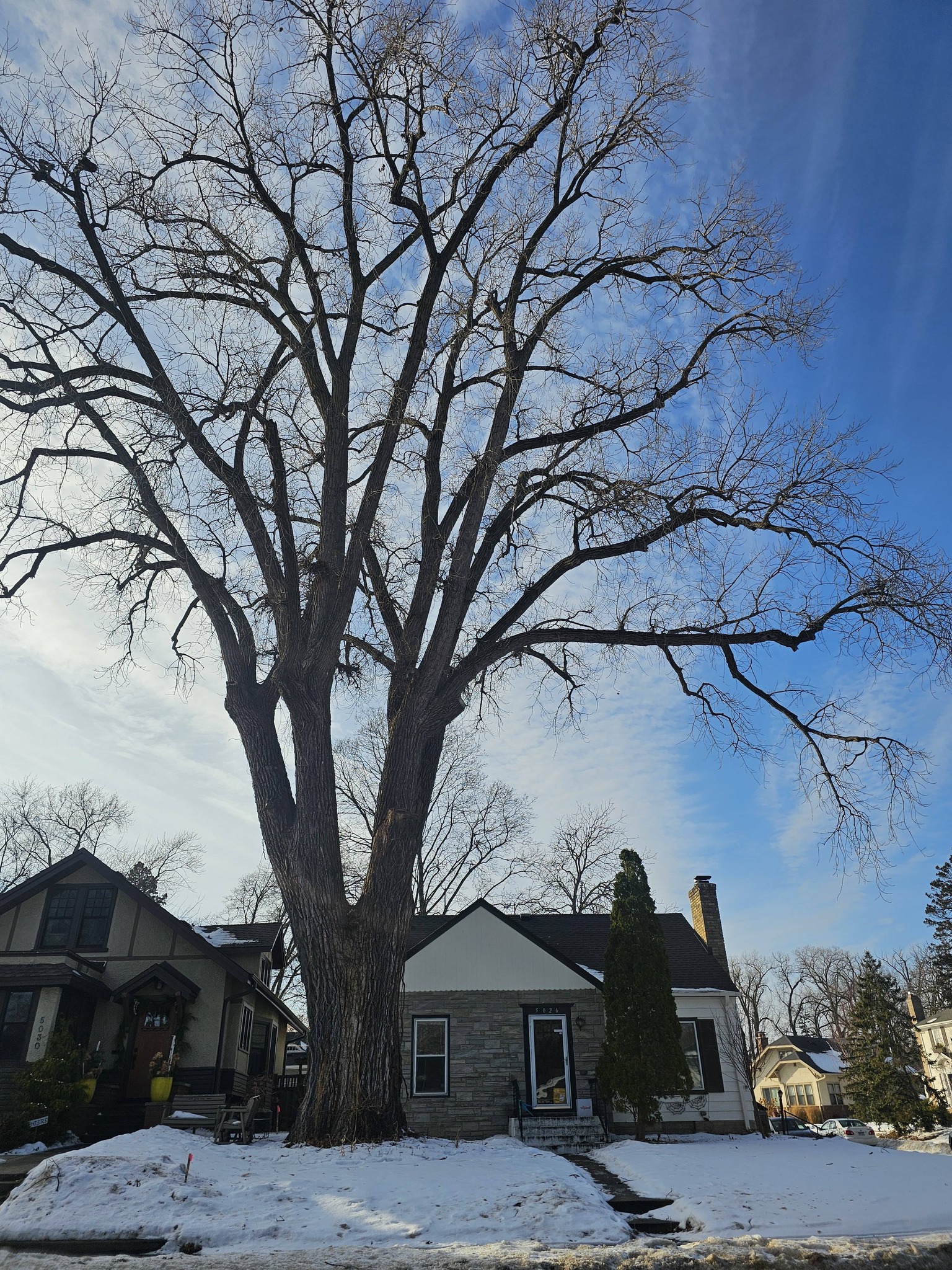 Big Tree Seekers | Facebook