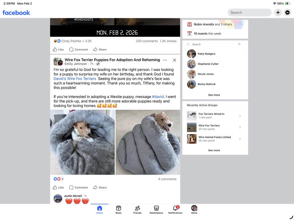 BAD BREEDERS & SCAMMER LIST! | Notice that the post has the same exact ...