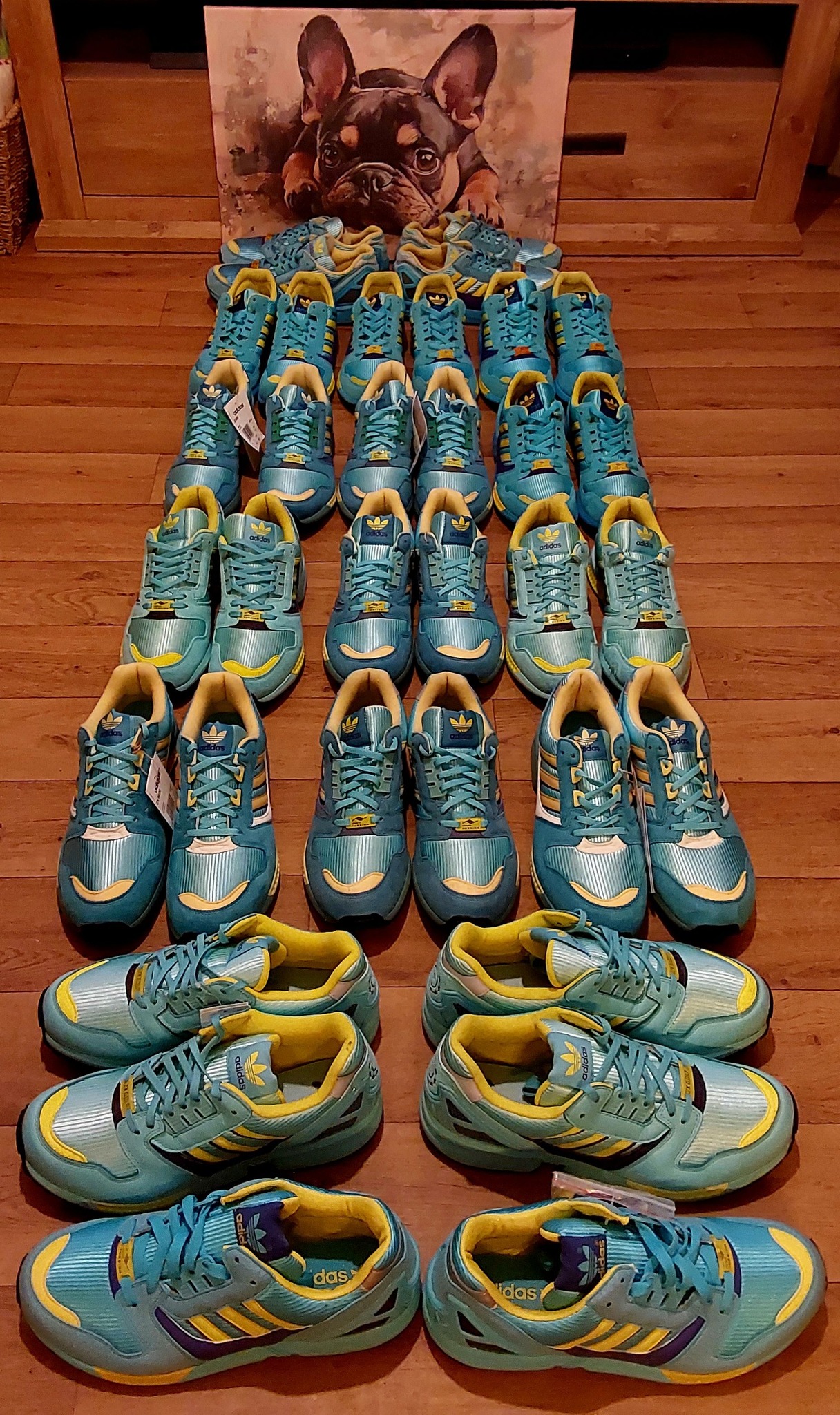 Adidas ZX 8000 sneakers in various colors