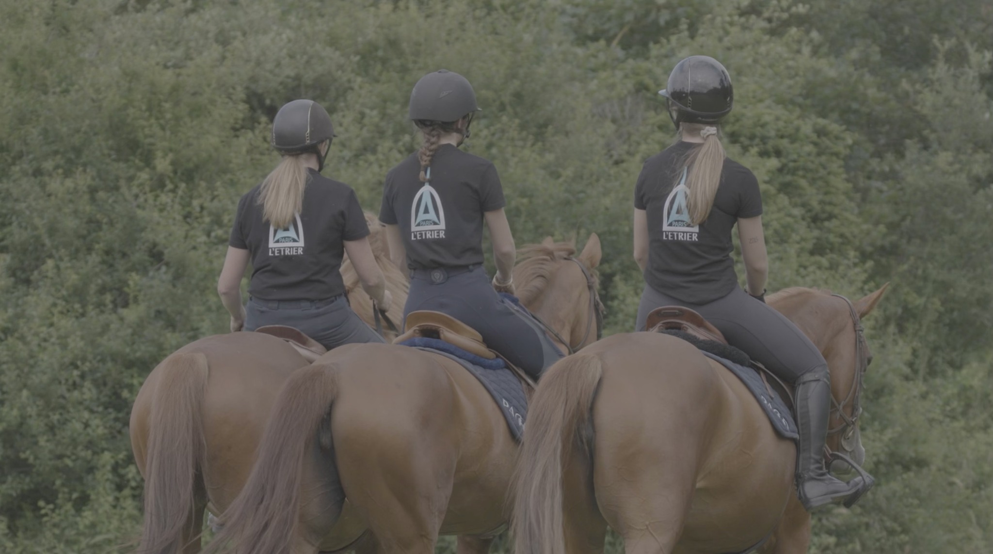Société d'Equitation... - Société d'Equitation de Paris - SEP