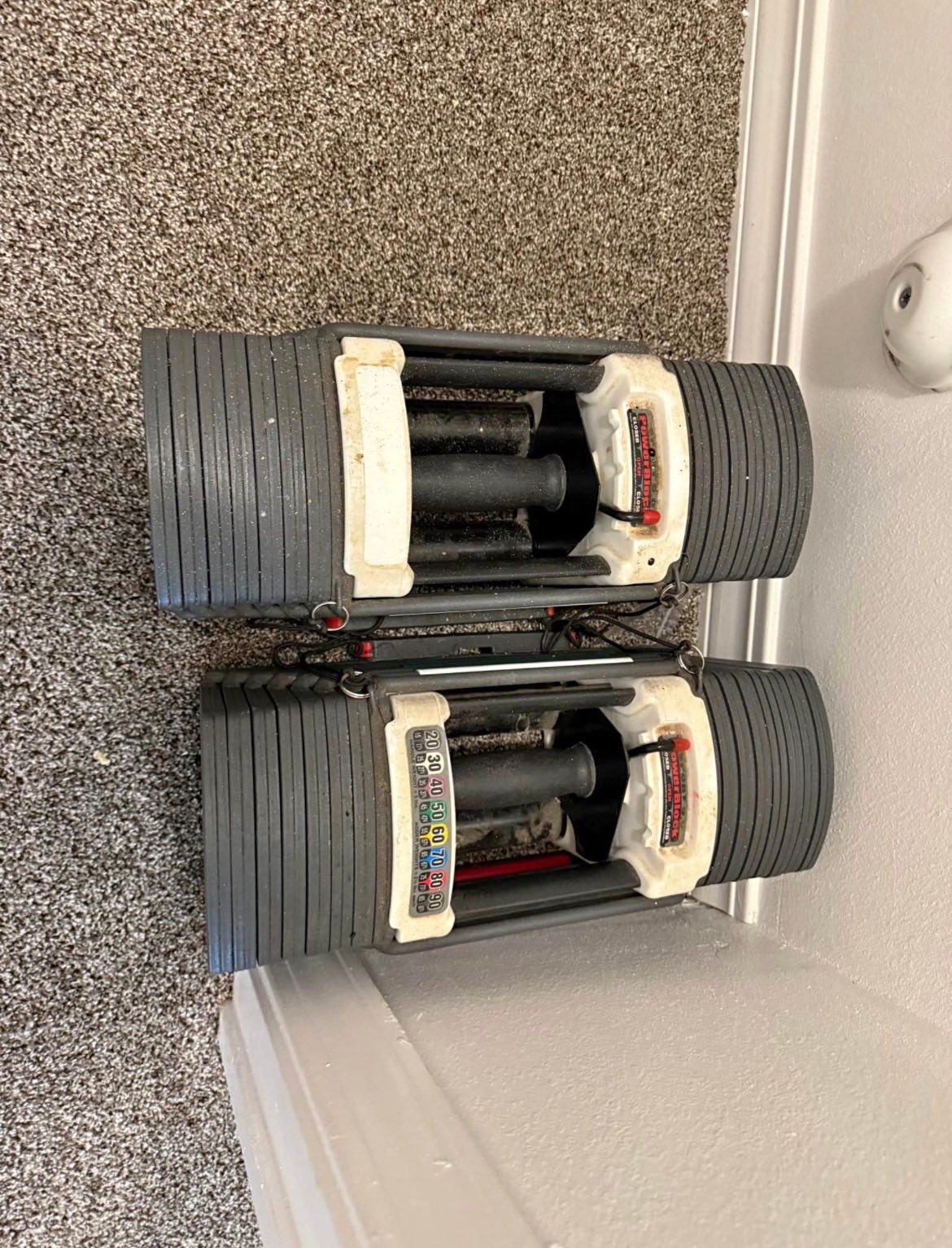 Restored Sport 9.0 Powerblocks for home gym