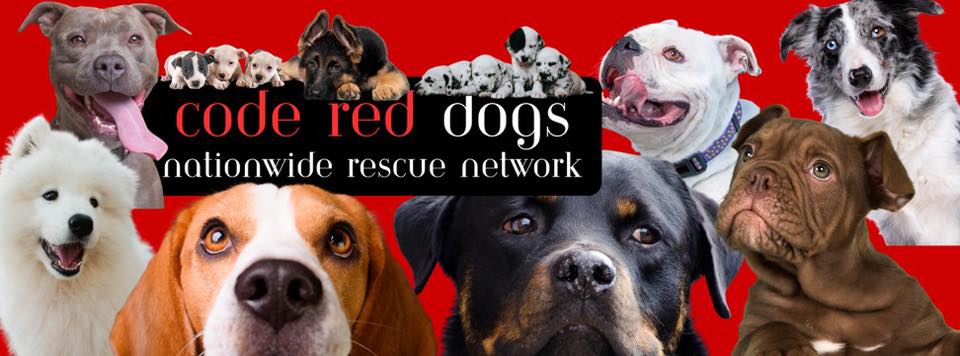 🆘 Code Red Dogs Nationwide Rescue Network 🆘 | Facebook