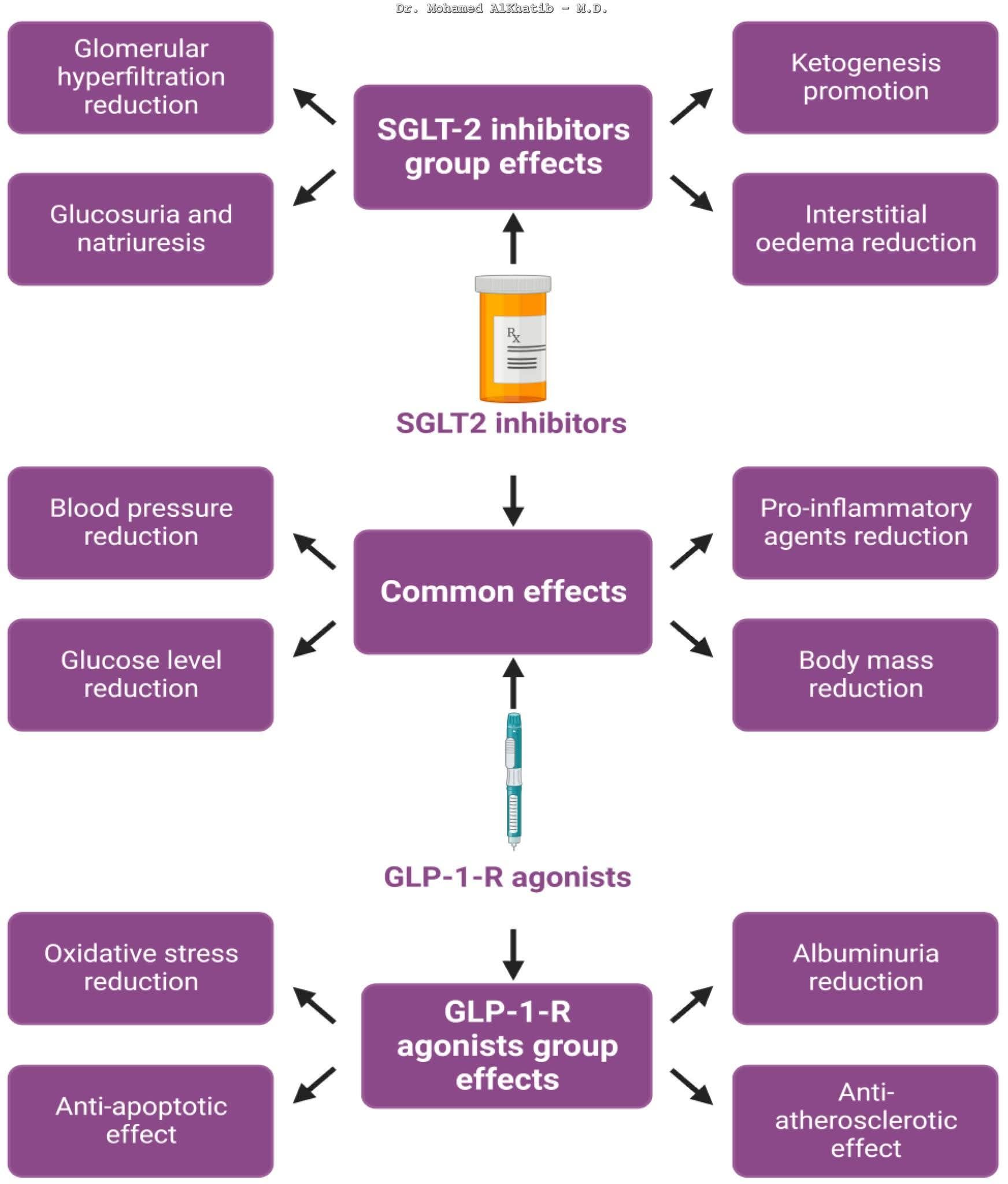 Avoiding mistakes when prescribing SGLT2 inhibitors and GLP-1 RAs for organ protection