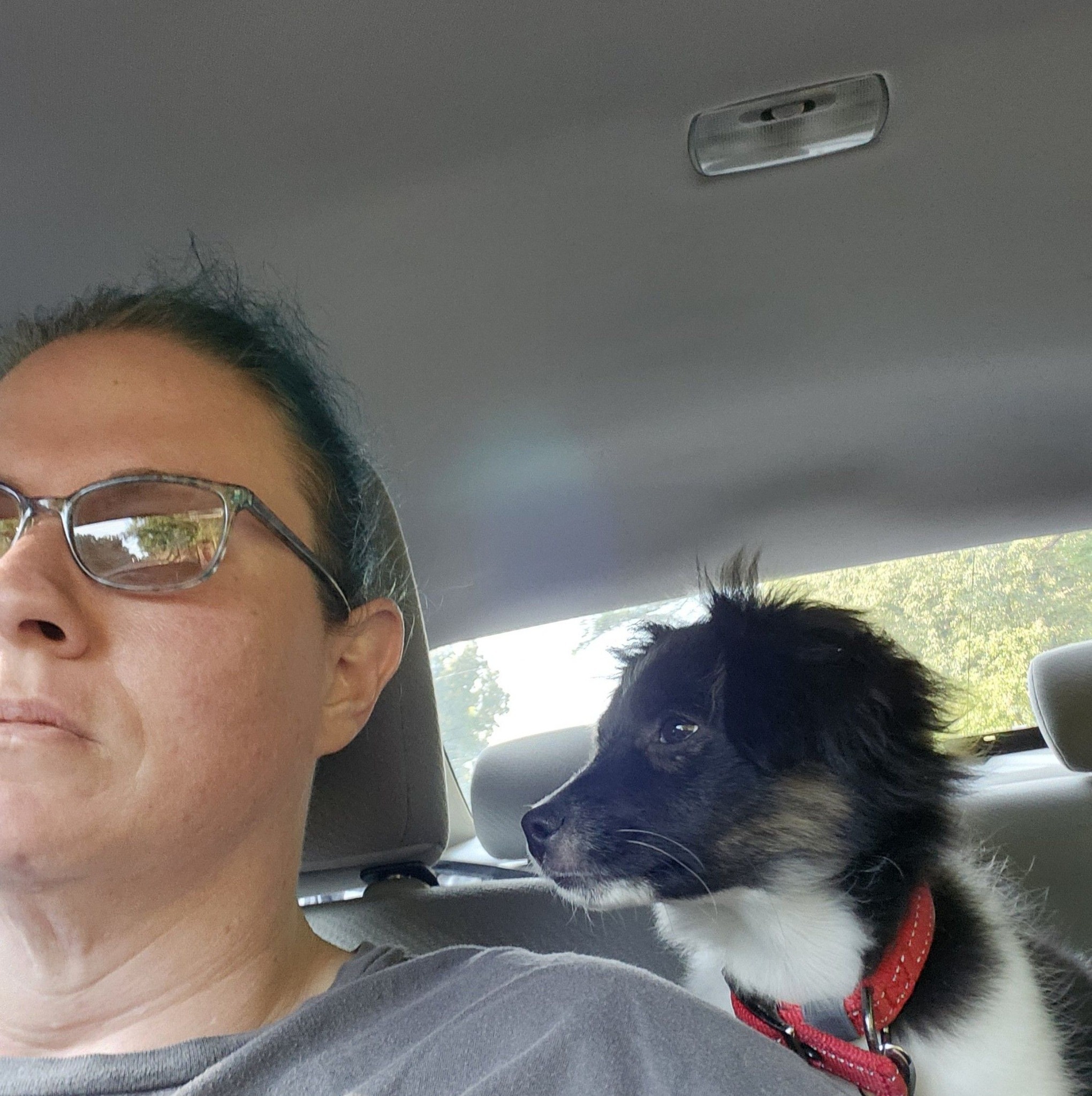 Winston got a pup-cup today # | Robin Hammond Blaisdell